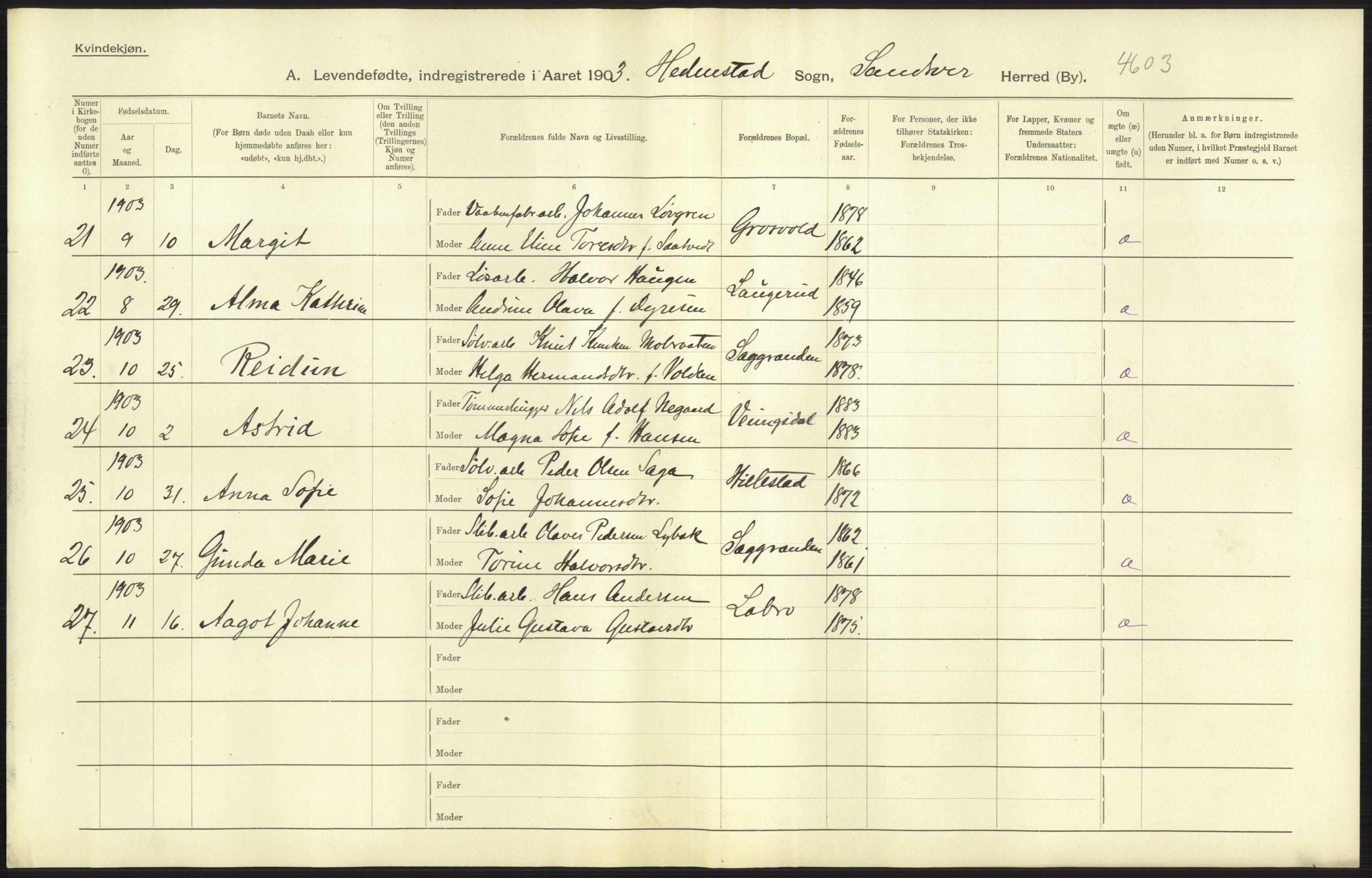 Statistisk sentralbyrå, Sosiodemografiske emner, Befolkning, AV/RA-S-2228/D/Df/Dfa/Dfaa/L0007: Buskeruds amt: Fødte, gifte, døde, 1903, p. 41