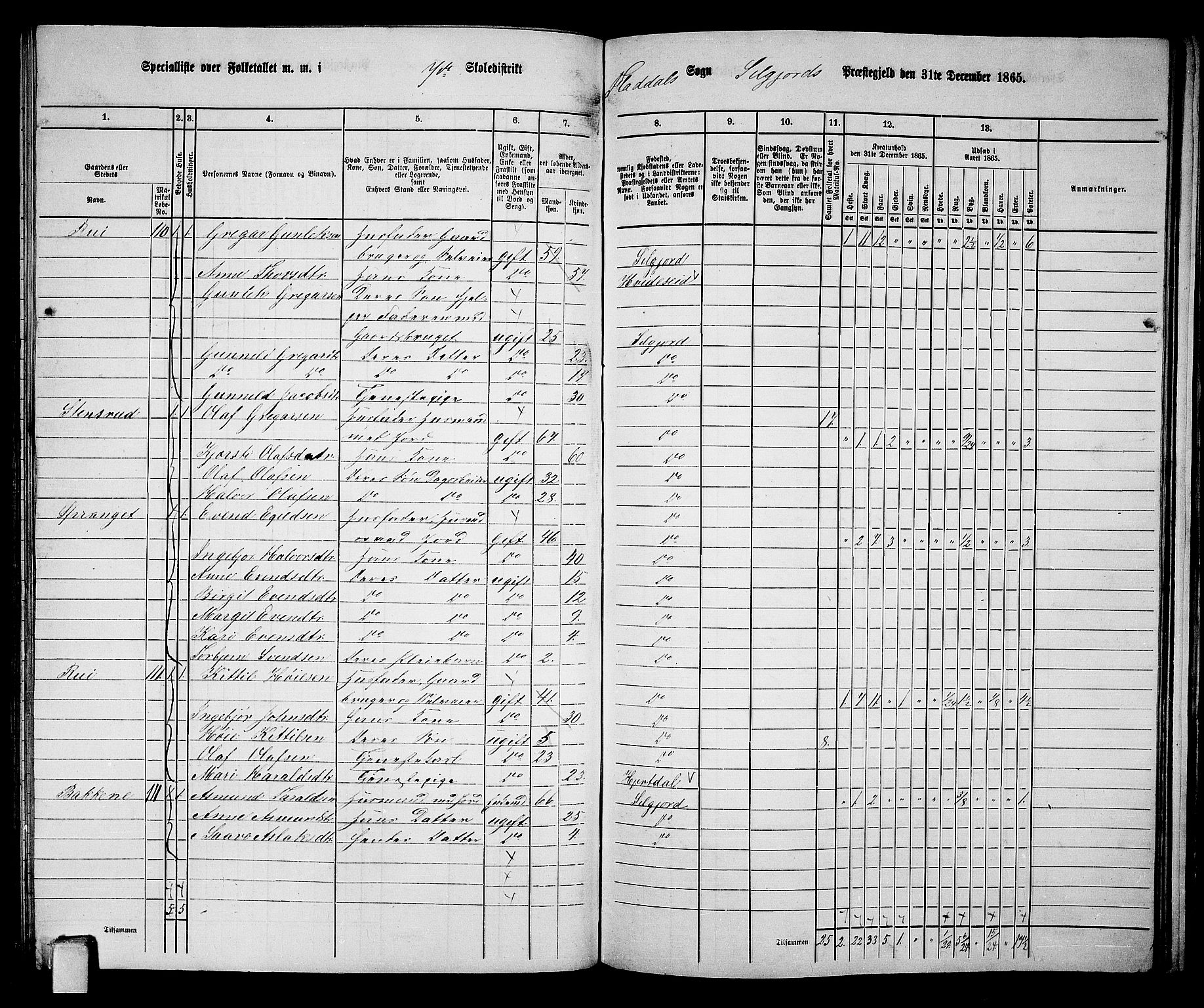 RA, 1865 census for Seljord, 1865, p. 98