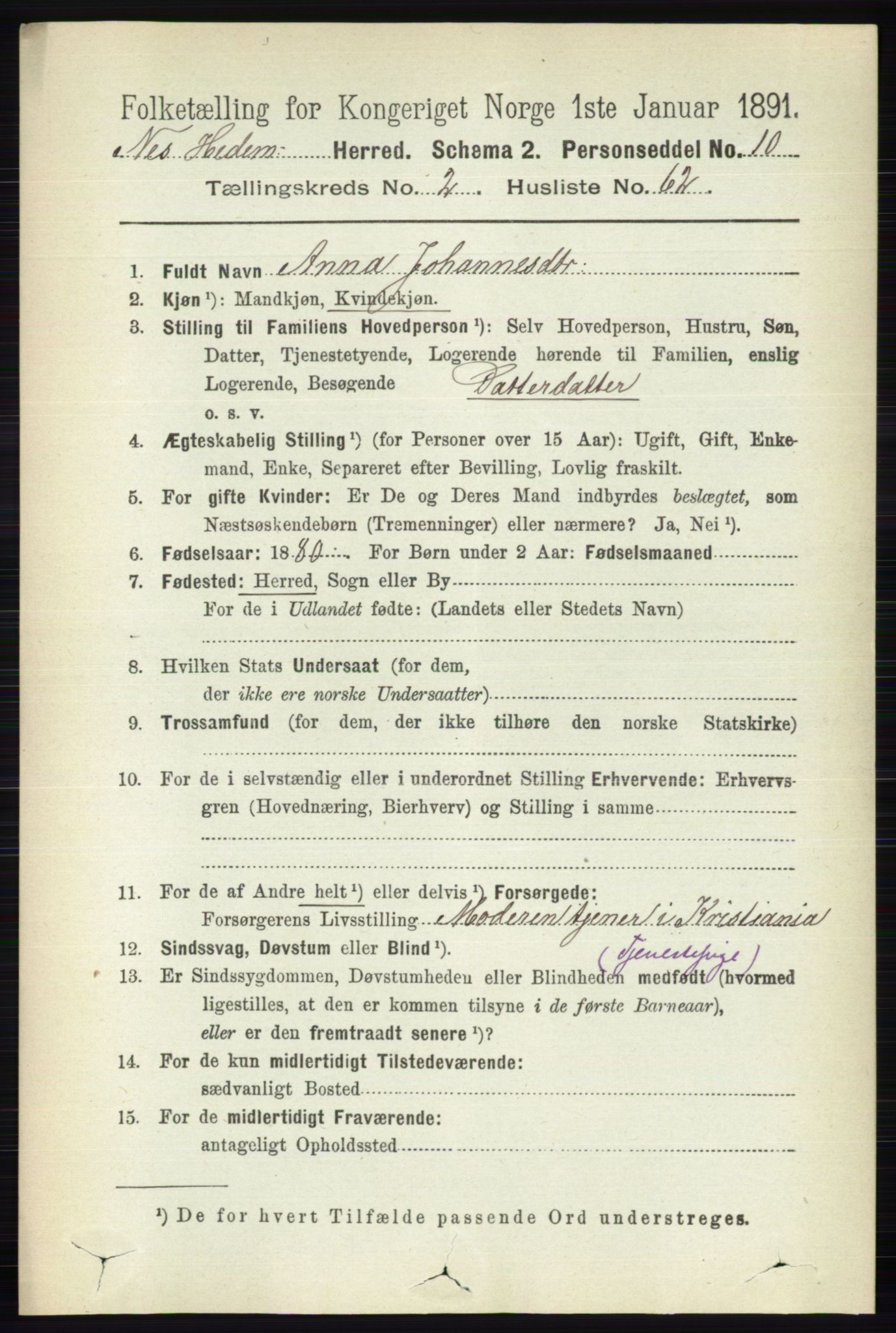 RA, 1891 census for 0411 Nes, 1891, p. 1508