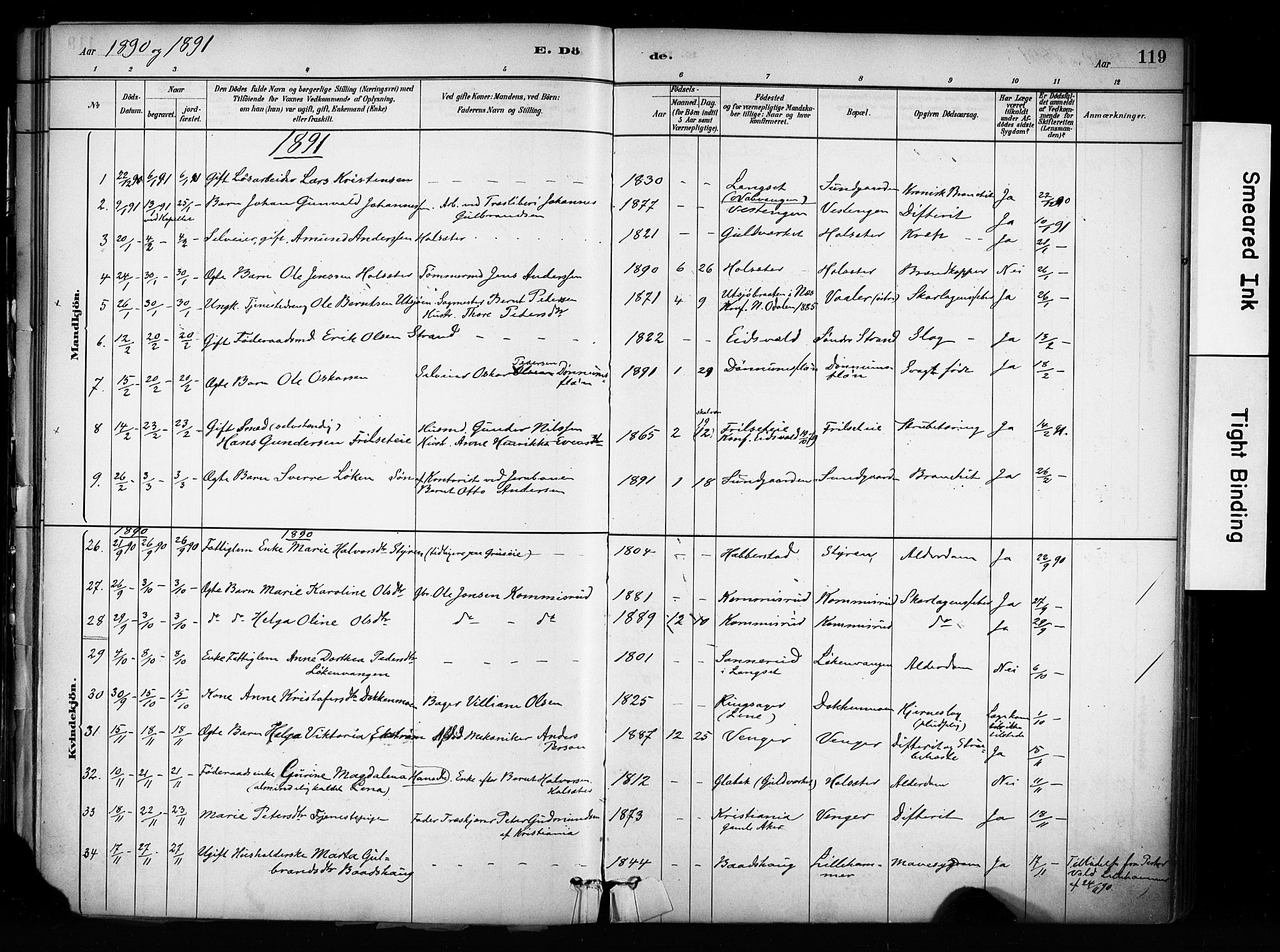 Eidsvoll prestekontor Kirkebøker, SAO/A-10888/F/Fa/L0003: Parish register (official) no. I 3, 1882-1895, p. 119