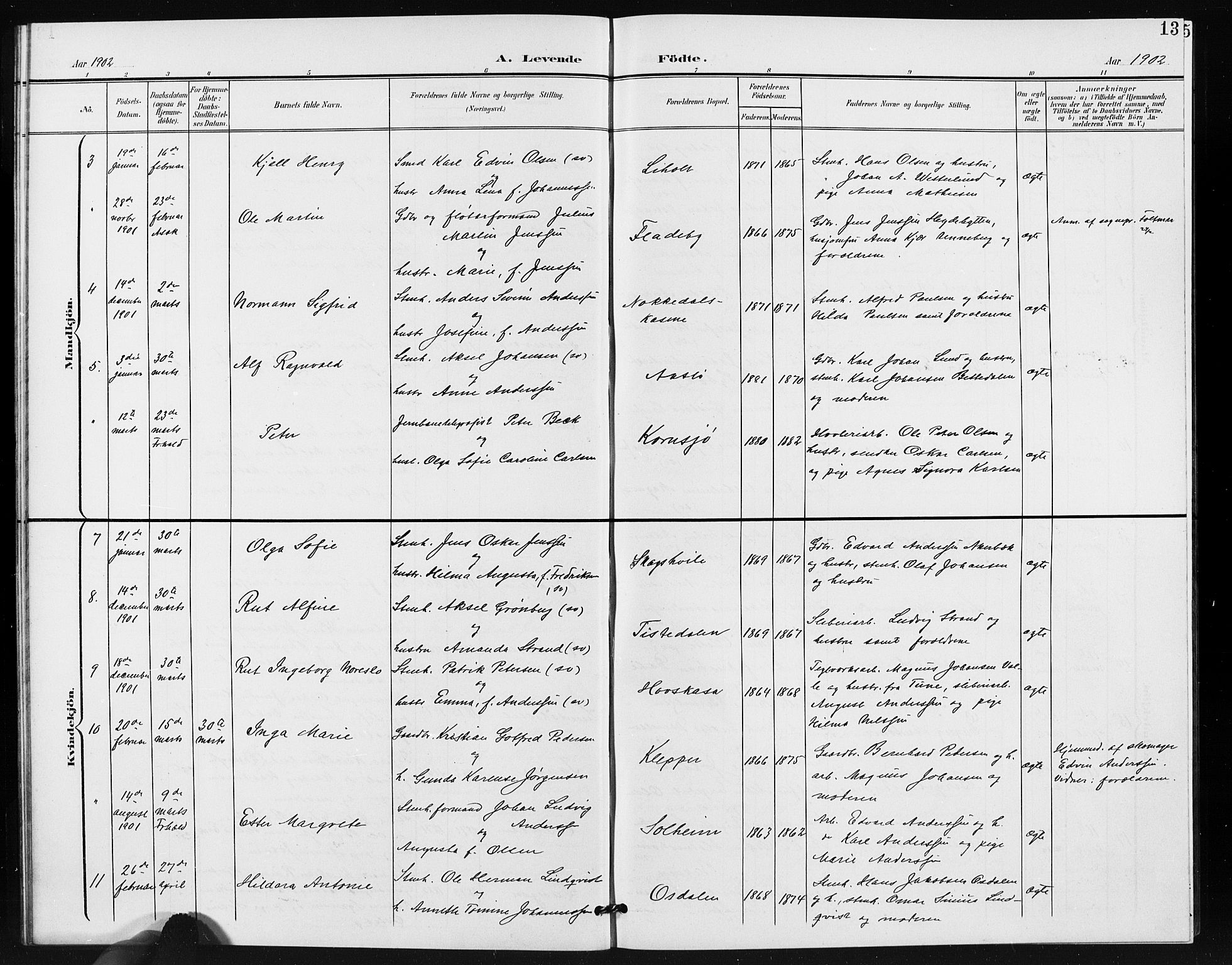 Idd prestekontor Kirkebøker, SAO/A-10911/G/Gb/L0001: Parish register (copy) no. II 1, 1901-1907, p. 13