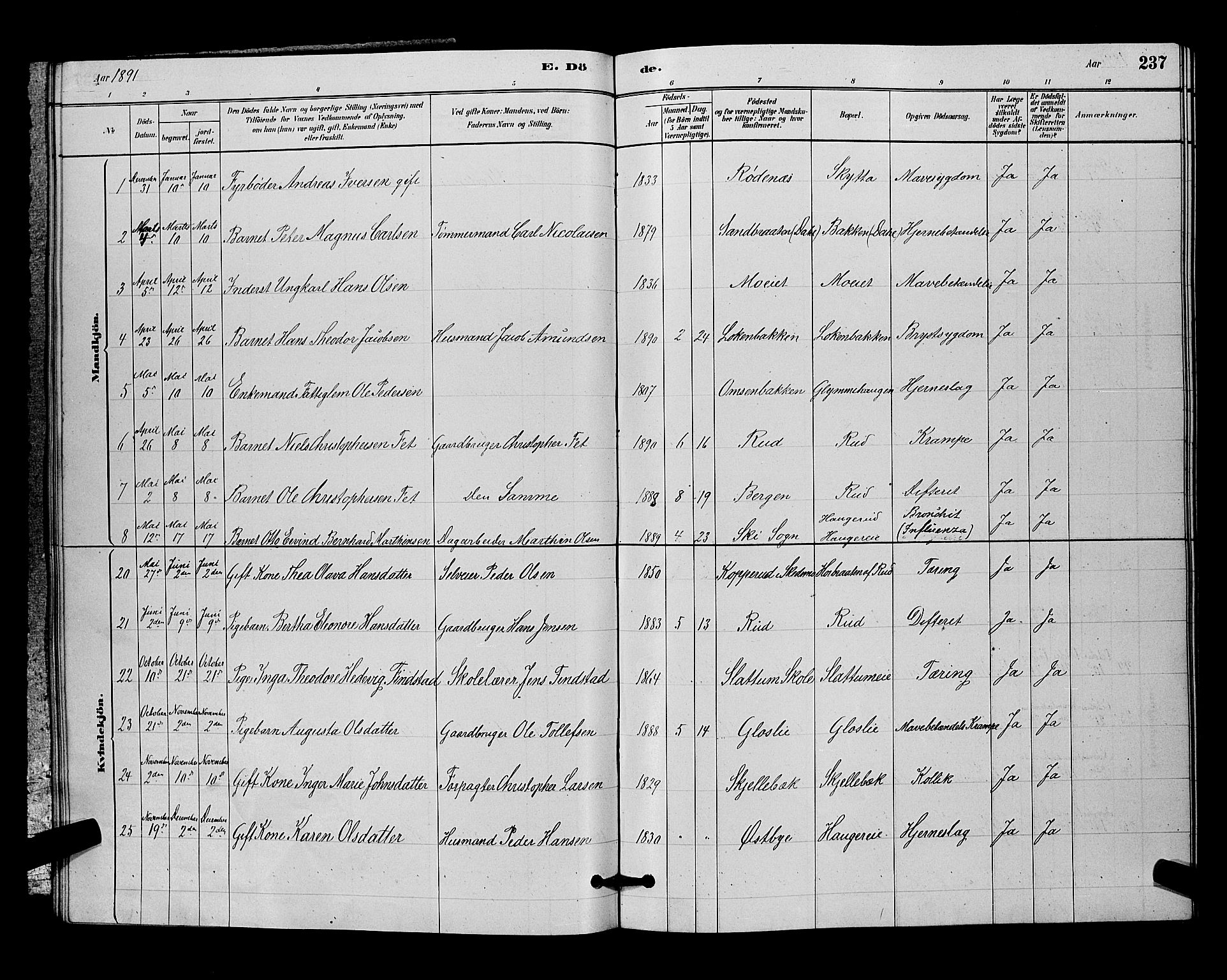 Nittedal prestekontor Kirkebøker, SAO/A-10365a/G/Ga/L0002: Parish register (copy) no. I 2, 1879-1901, p. 237