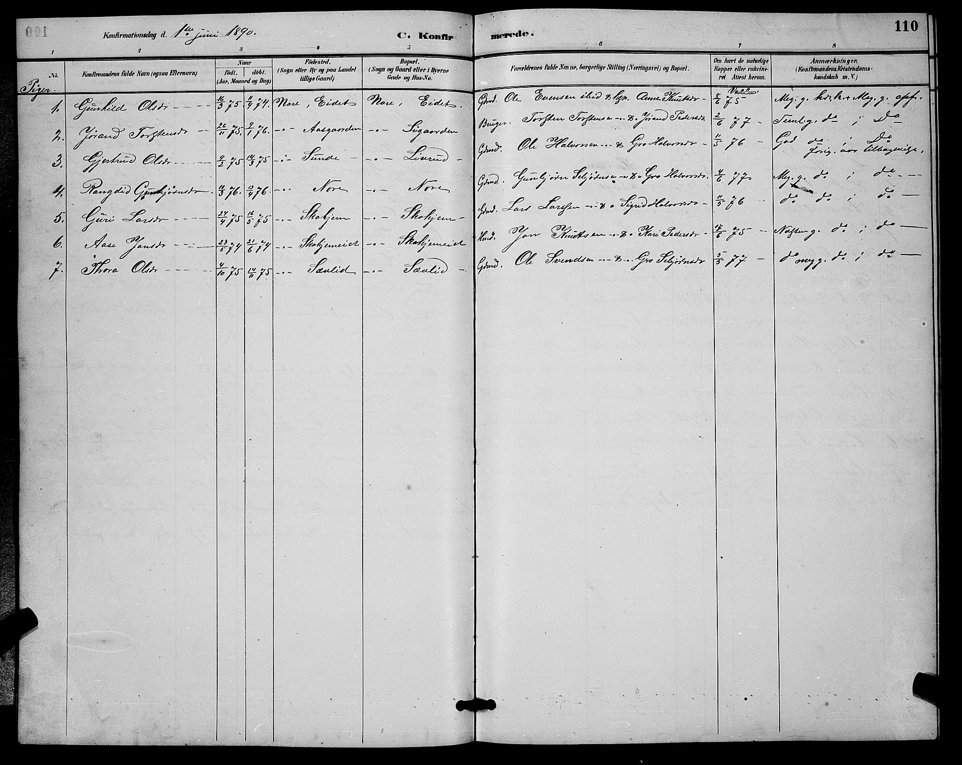 Nore kirkebøker, SAKO/A-238/G/Ga/L0003: Parish register (copy) no. I 3, 1886-1903, p. 110