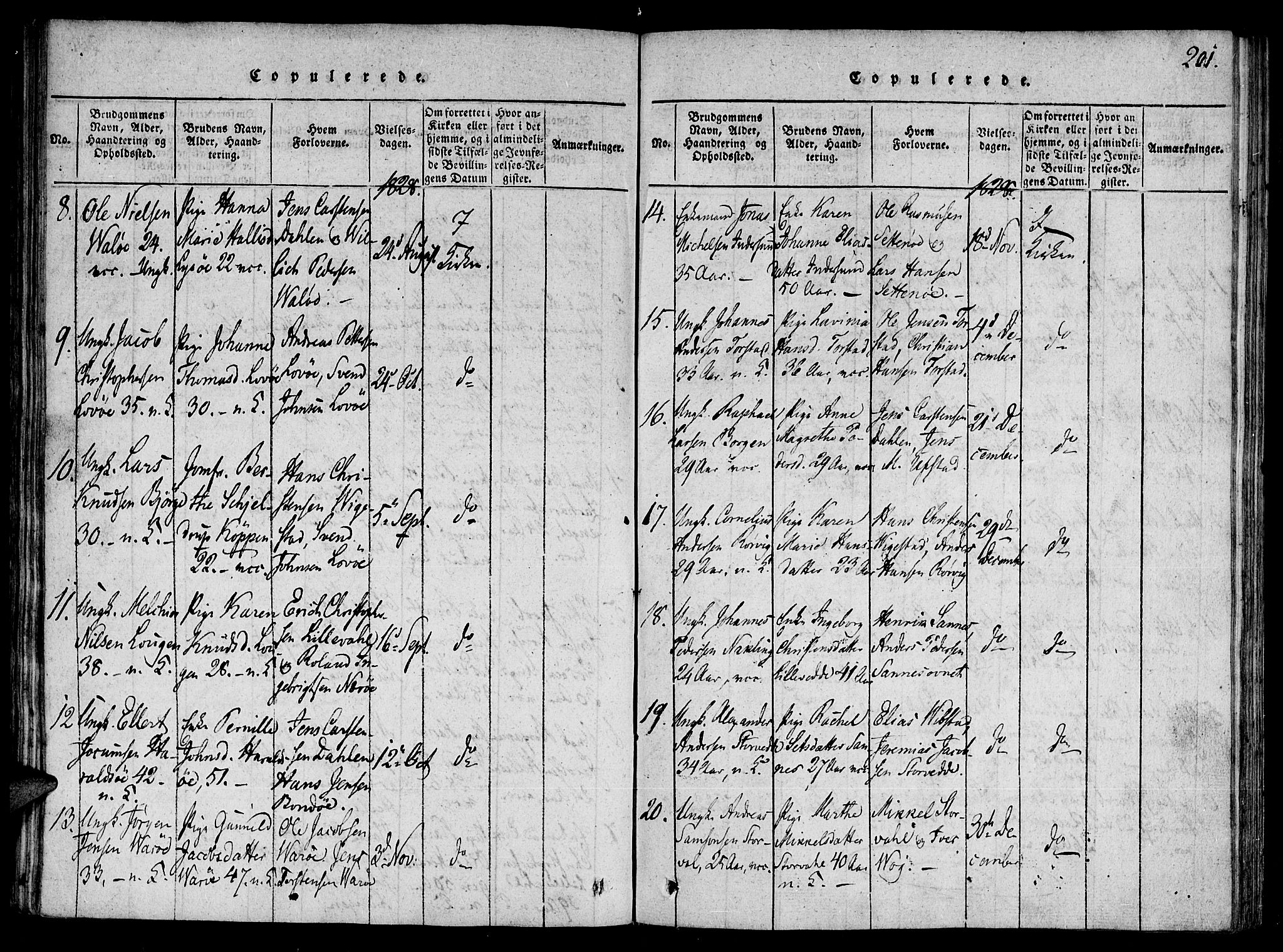 Ministerialprotokoller, klokkerbøker og fødselsregistre - Nord-Trøndelag, AV/SAT-A-1458/784/L0667: Parish register (official) no. 784A03 /1, 1816-1829, p. 201