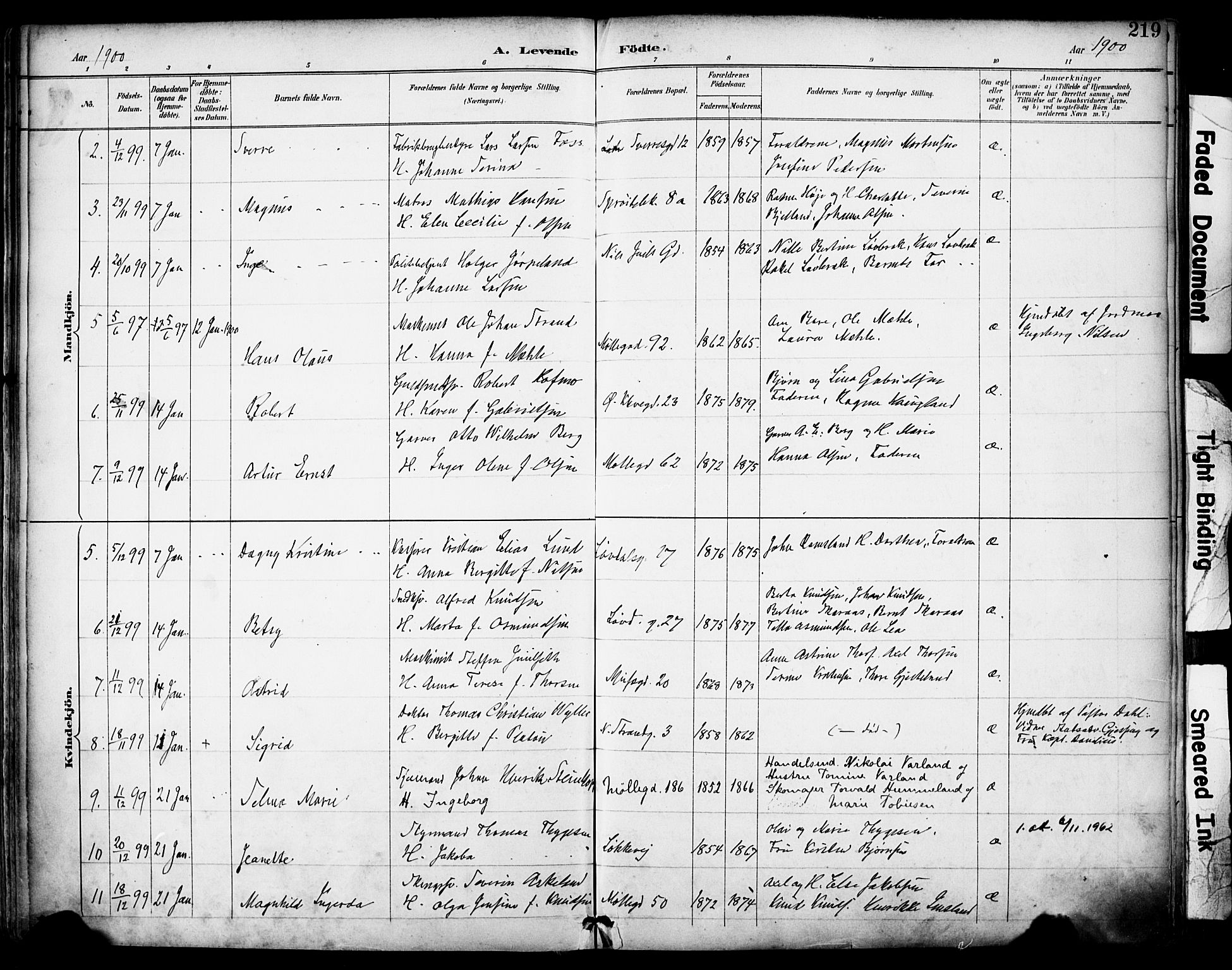 Domkirken sokneprestkontor, SAST/A-101812/001/30/30BA/L0030: Parish register (official) no. A 29, 1889-1902, p. 219