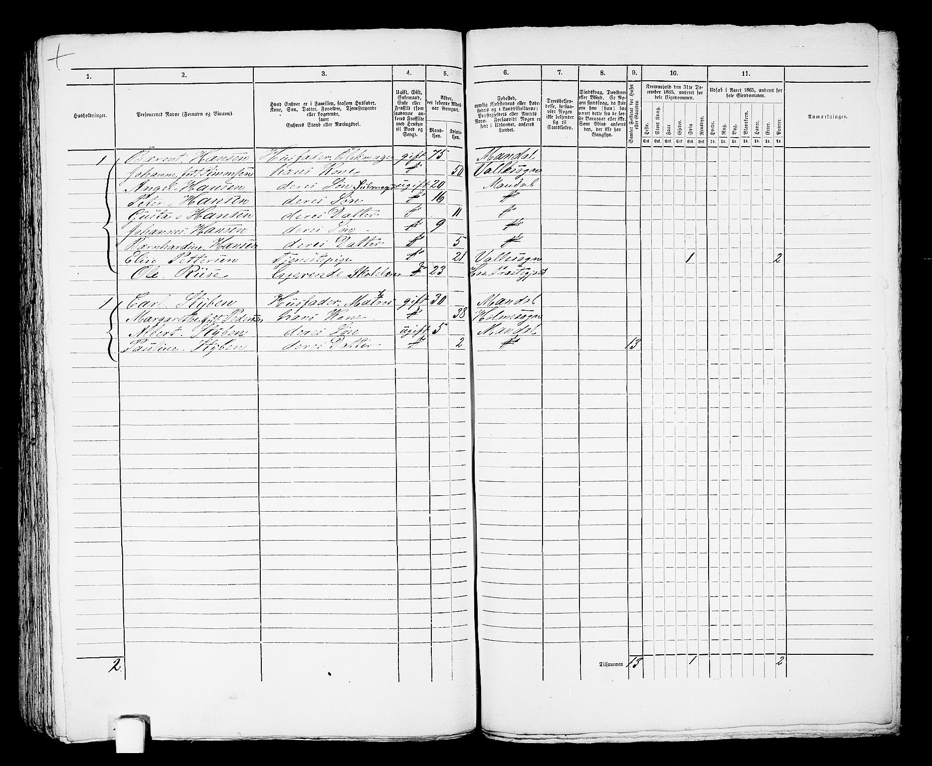 RA, 1865 census for Mandal/Mandal, 1865, p. 887