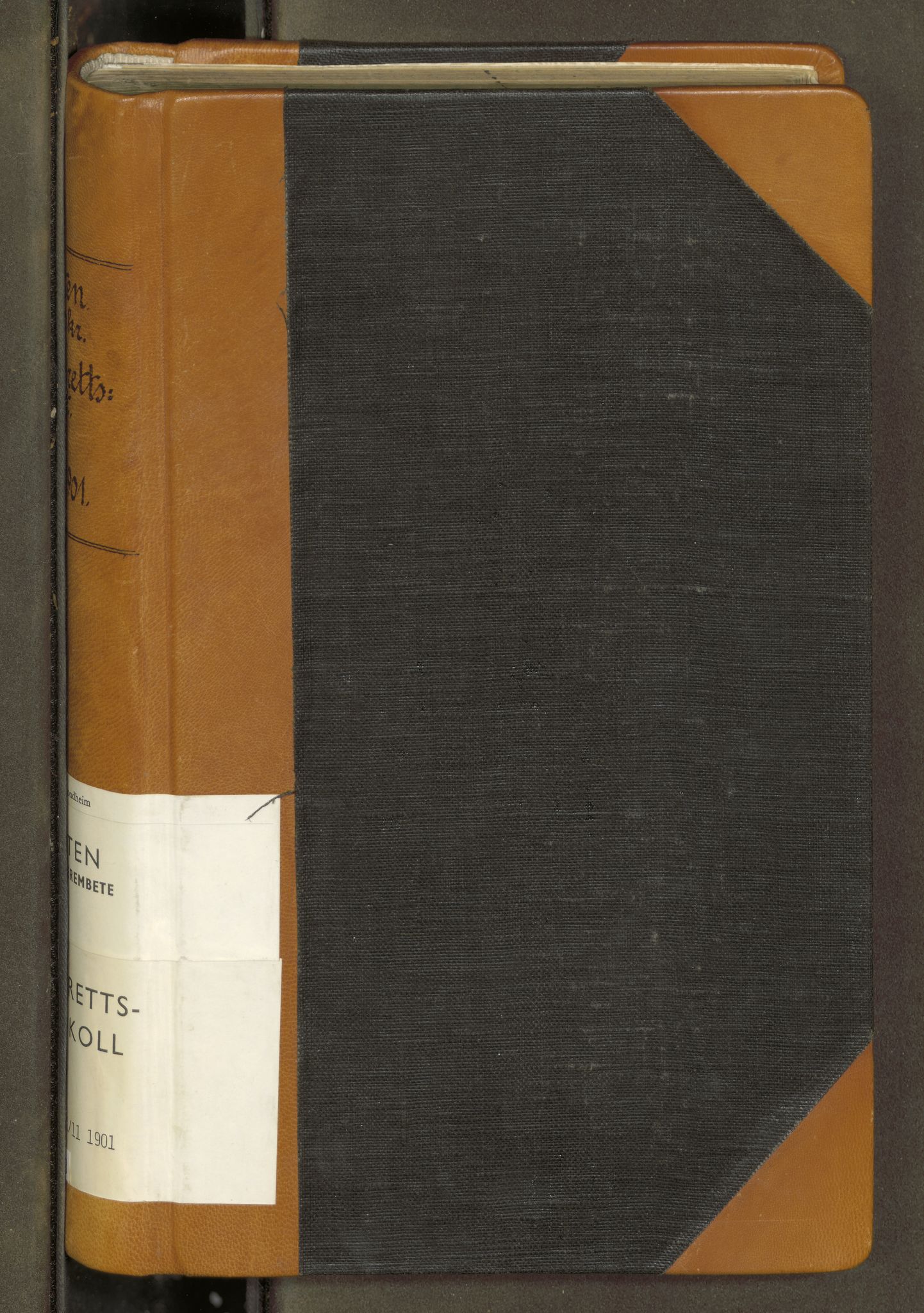 Lofoten sorenskriveri, SAT/A-0017/1/1/1B/L0013: Ekstrarettsprotokoll, 1898-1901