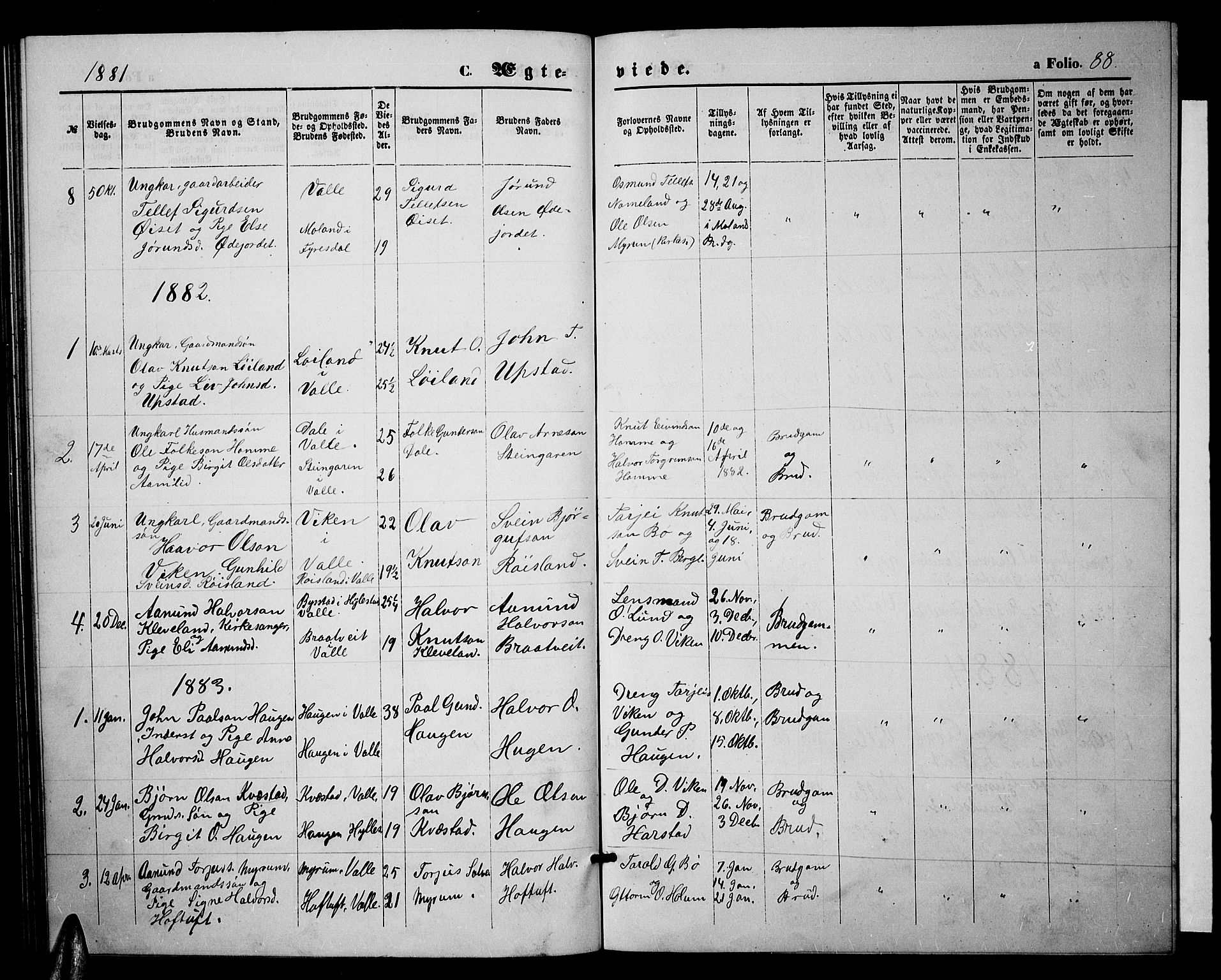Valle sokneprestkontor, SAK/1111-0044/F/Fb/Fbc/L0003: Parish register (copy) no. B 3, 1871-1890, p. 88