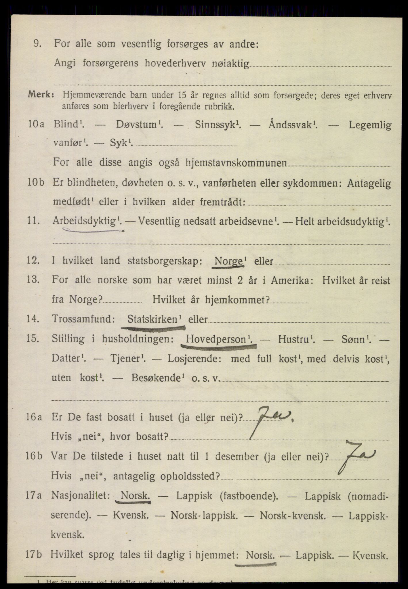 SAT, 1920 census for Dønnes, 1920, p. 1217