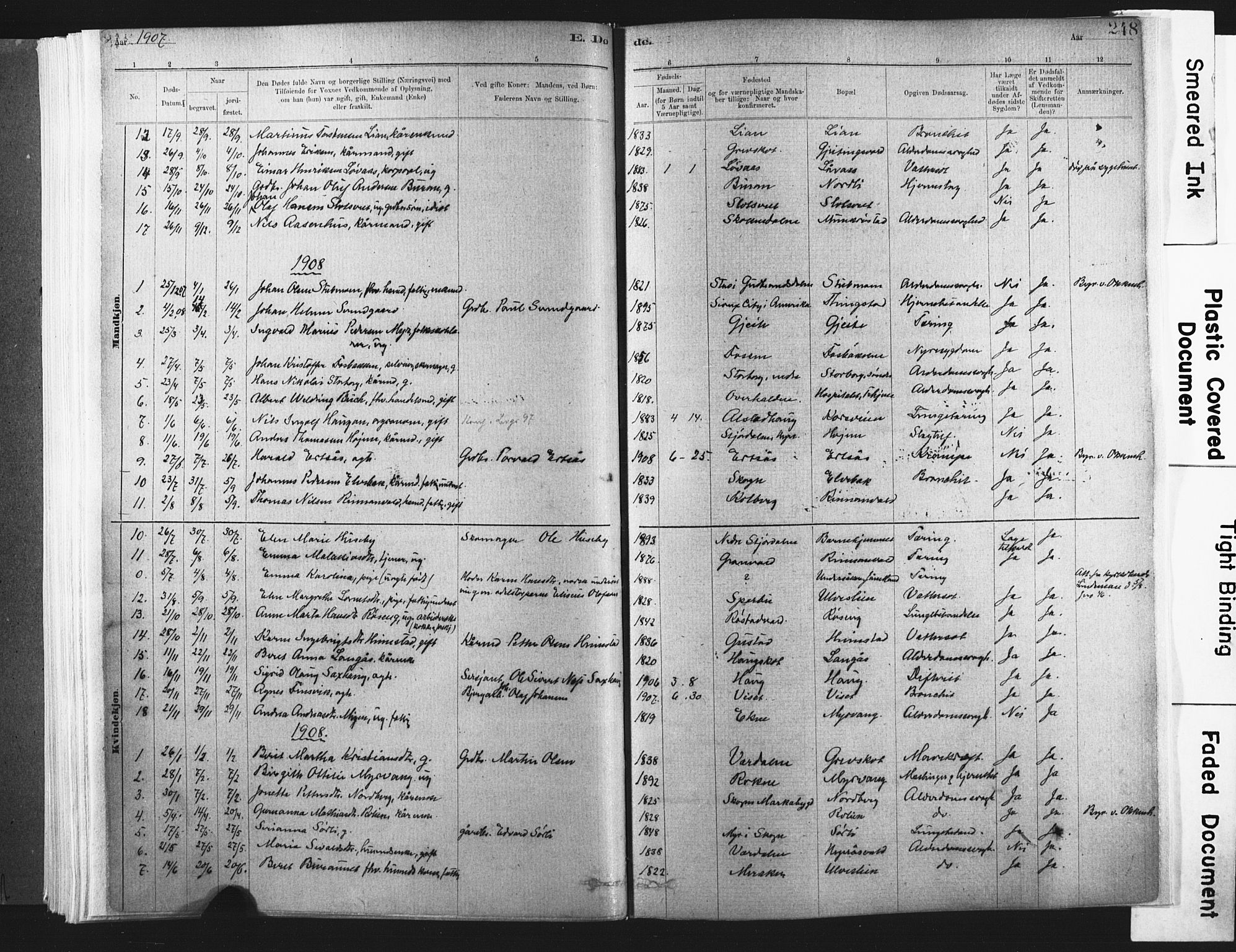 Ministerialprotokoller, klokkerbøker og fødselsregistre - Nord-Trøndelag, AV/SAT-A-1458/721/L0207: Parish register (official) no. 721A02, 1880-1911, p. 248