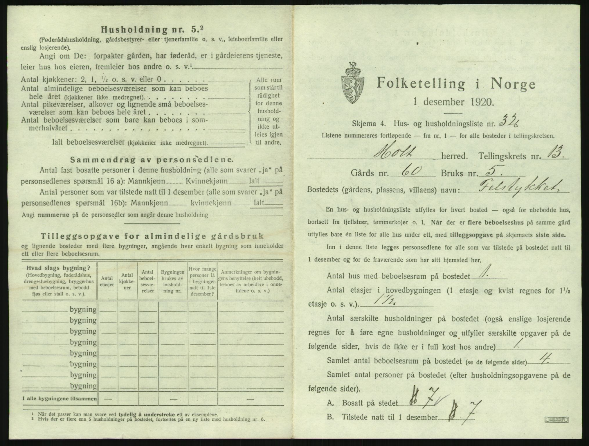 SAK, 1920 census for Holt, 1920, p. 1418