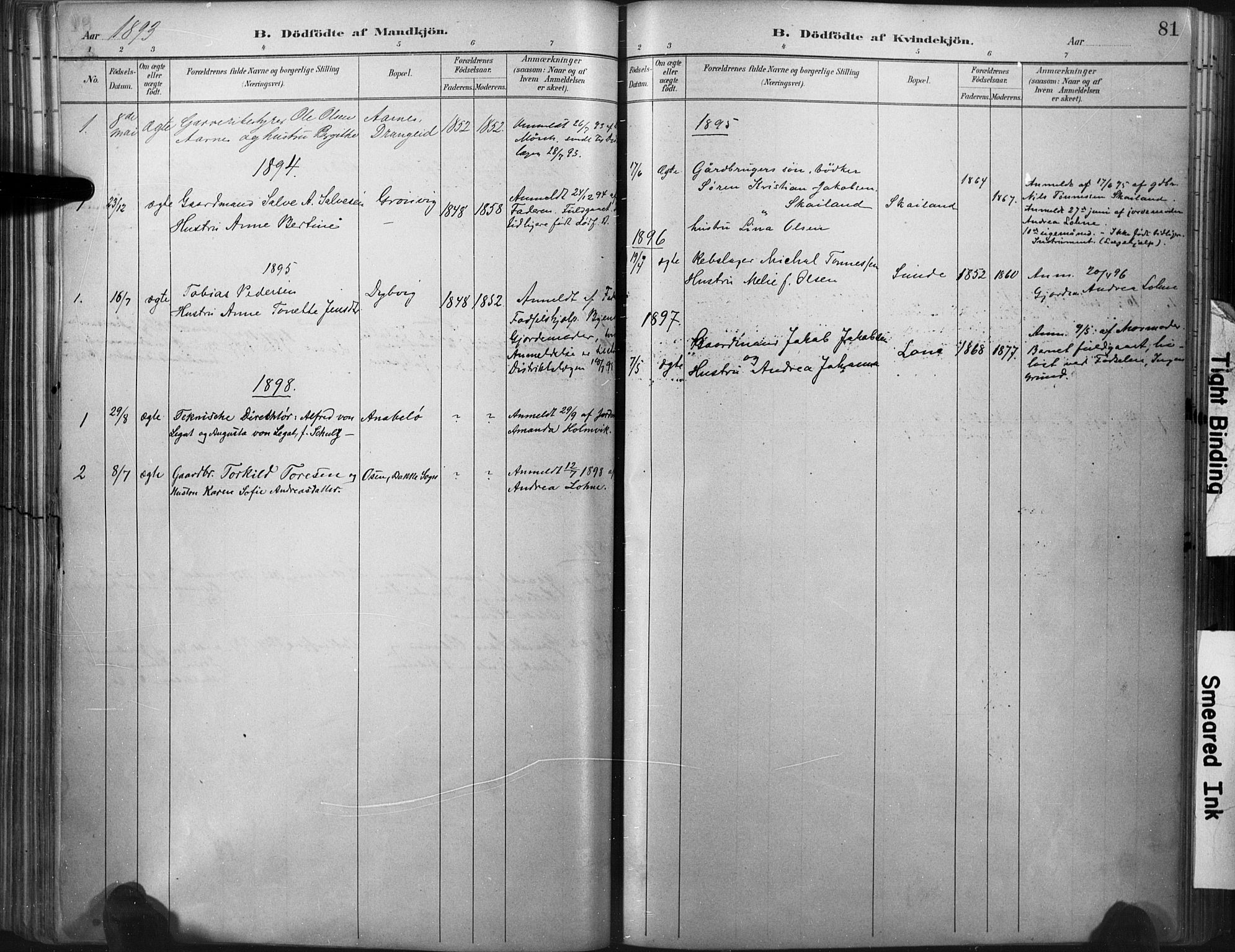 Flekkefjord sokneprestkontor, AV/SAK-1111-0012/F/Fa/Fac/L0008: Parish register (official) no. A 8, 1885-1898, p. 81