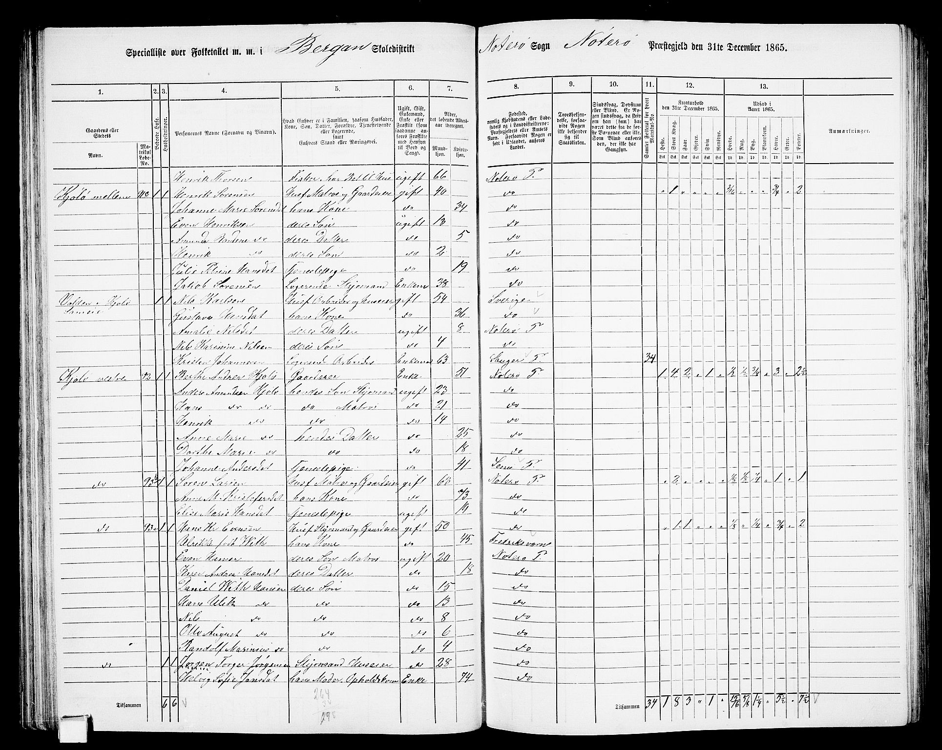 RA, 1865 census for Nøtterøy, 1865, p. 78