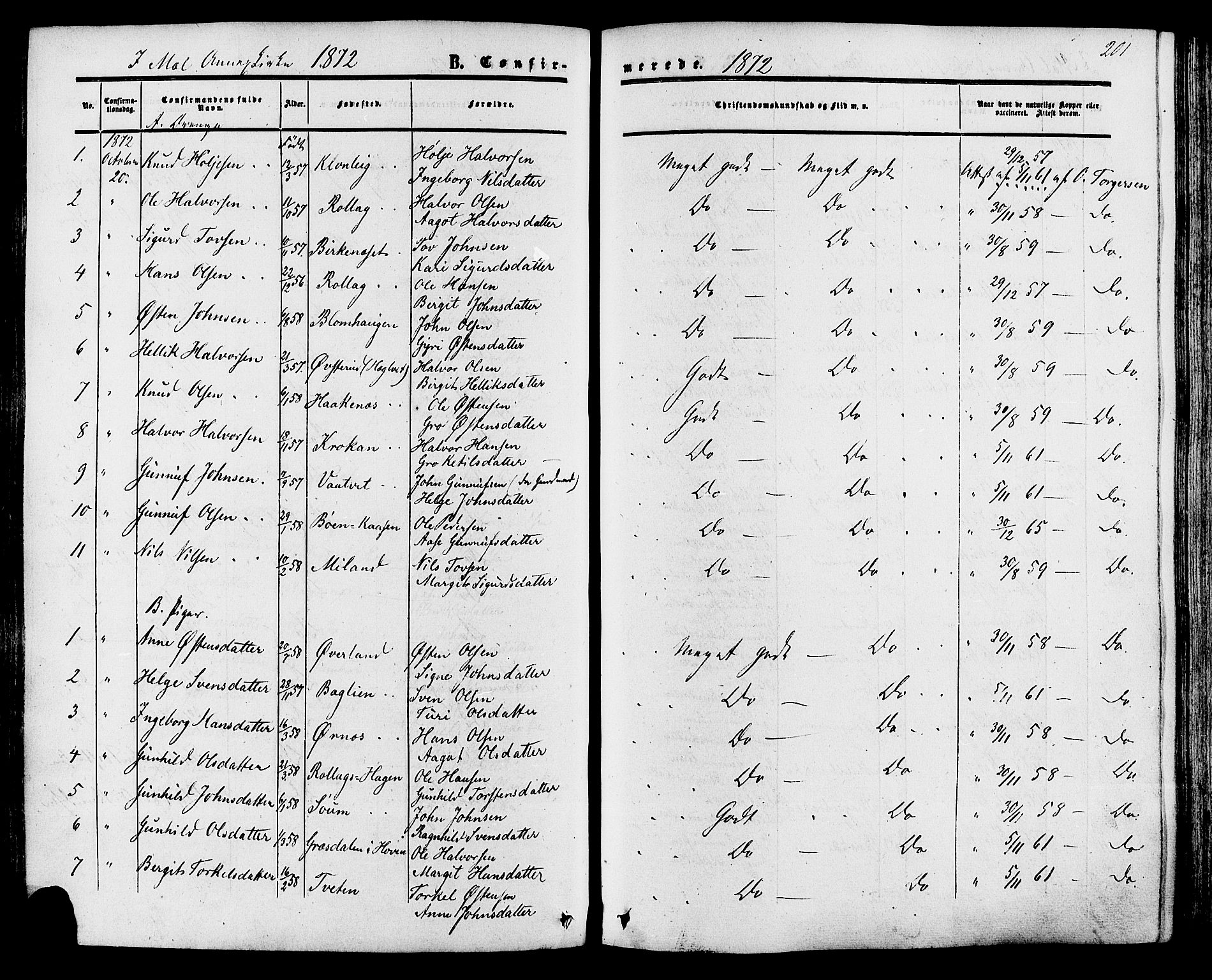 Tinn kirkebøker, SAKO/A-308/F/Fa/L0006: Parish register (official) no. I 6, 1857-1878, p. 201