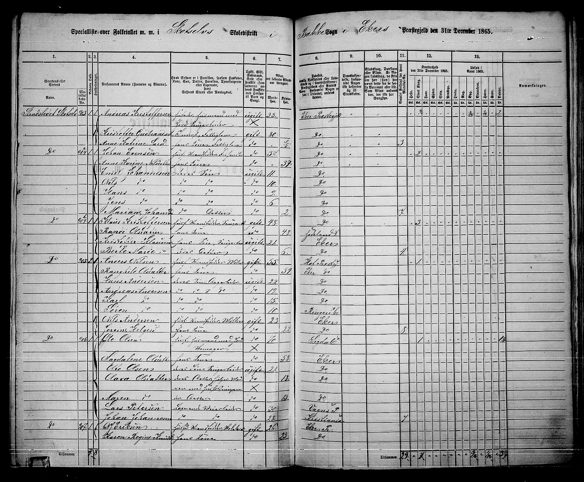 RA, 1865 census for Eiker, 1865, p. 476