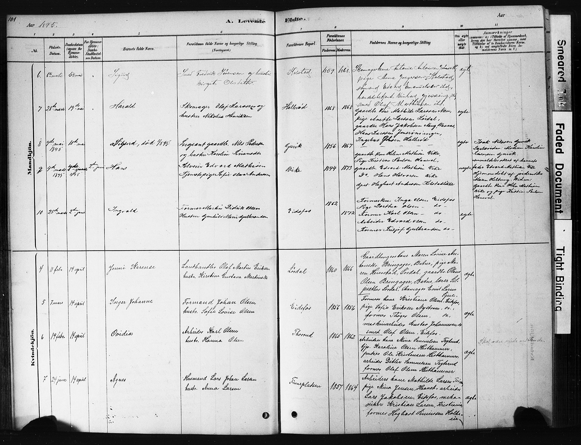 Hof kirkebøker, AV/SAKO-A-64/G/Ga/L0004: Parish register (copy) no. I 4, 1878-1930, p. 101