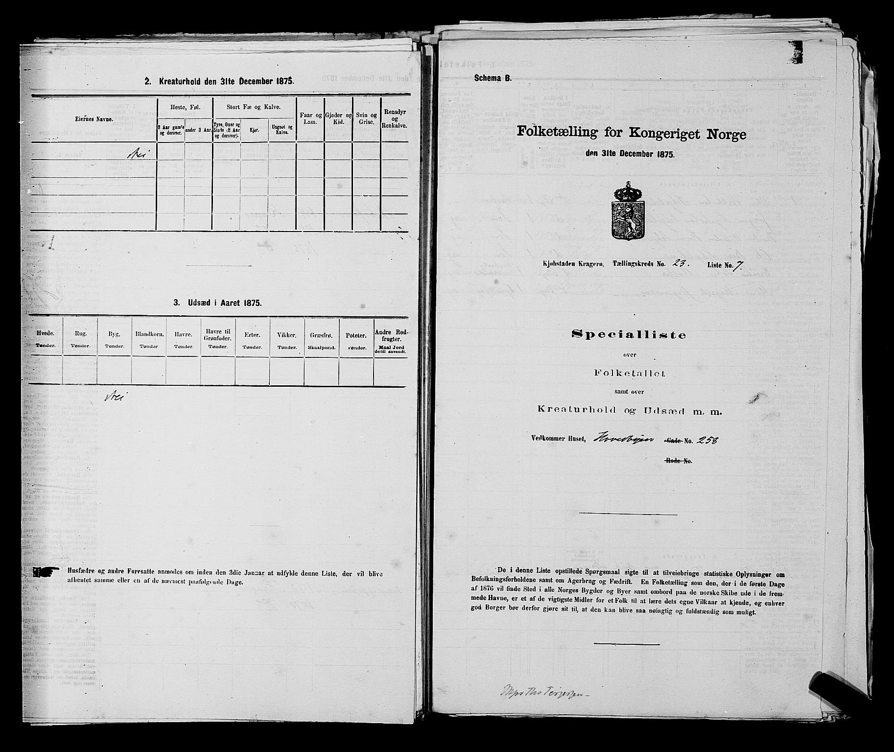 SAKO, 1875 census for 0801P Kragerø, 1875, p. 503