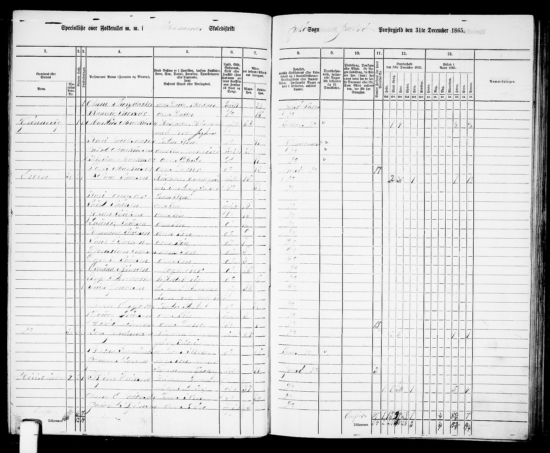 RA, 1865 census for Jelsa, 1865, p. 45