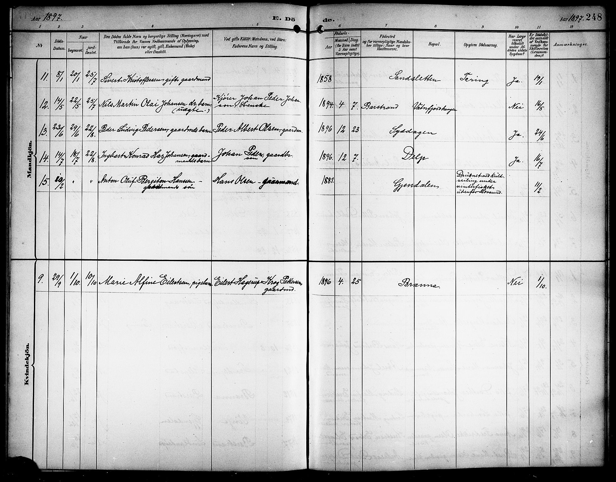 Ministerialprotokoller, klokkerbøker og fødselsregistre - Nordland, AV/SAT-A-1459/876/L1105: Parish register (copy) no. 876C04, 1896-1914, p. 248