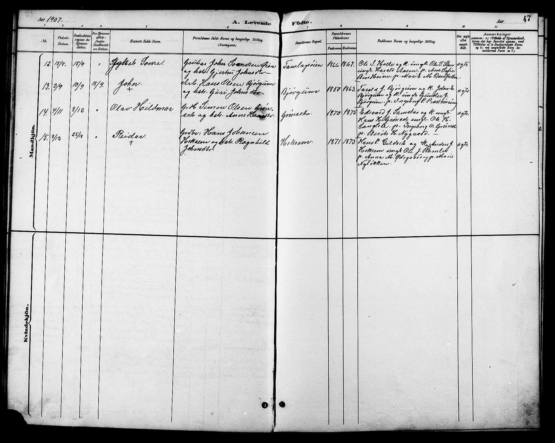Ministerialprotokoller, klokkerbøker og fødselsregistre - Sør-Trøndelag, SAT/A-1456/685/L0978: Parish register (copy) no. 685C03, 1891-1907, p. 47