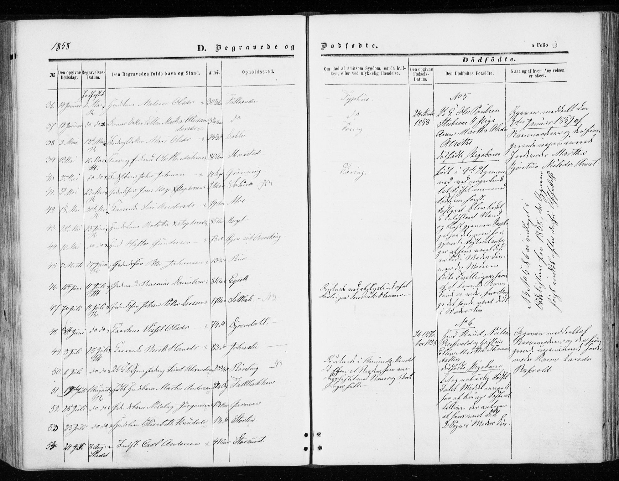 Ministerialprotokoller, klokkerbøker og fødselsregistre - Sør-Trøndelag, AV/SAT-A-1456/646/L0612: Parish register (official) no. 646A10, 1858-1869, p. 3