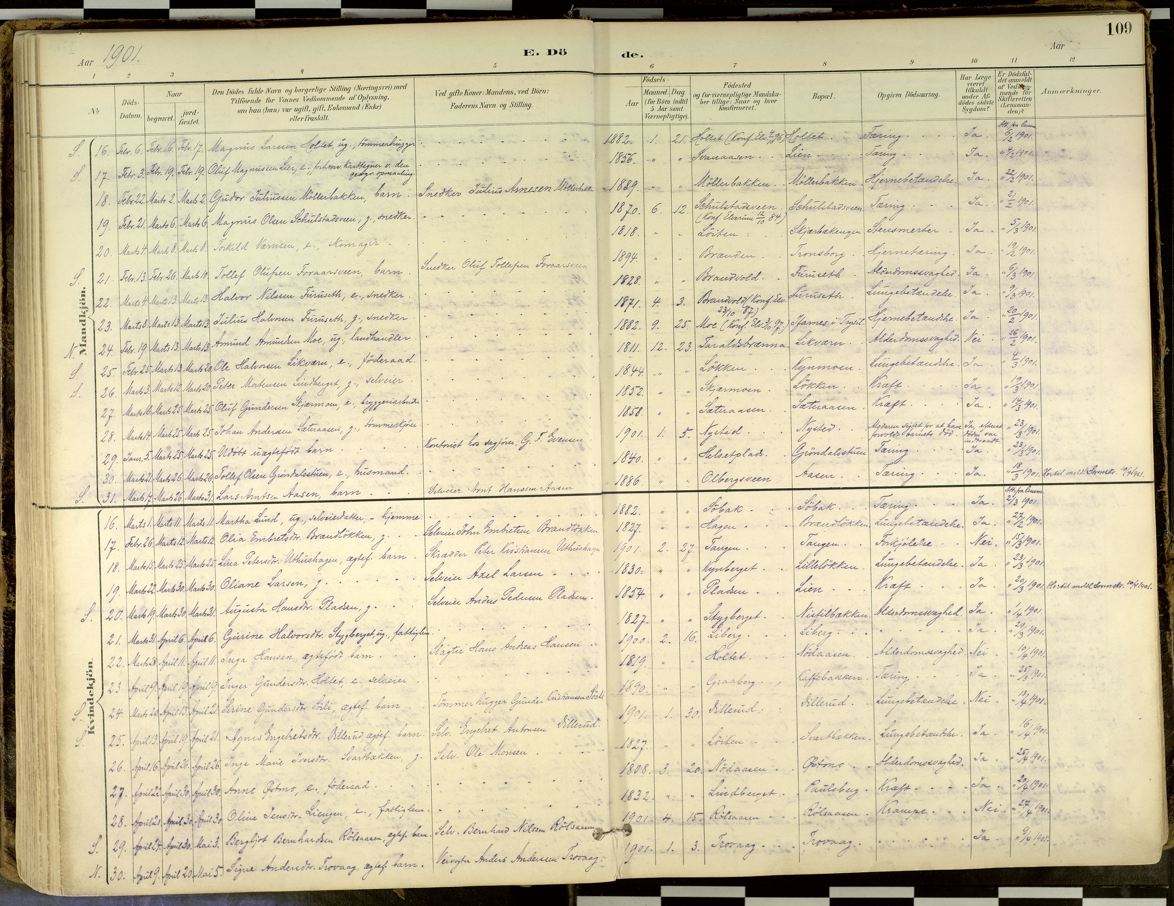 Elverum prestekontor, SAH/PREST-044/H/Ha/Haa/L0018: Parish register (official) no. 18, 1894-1914, p. 109