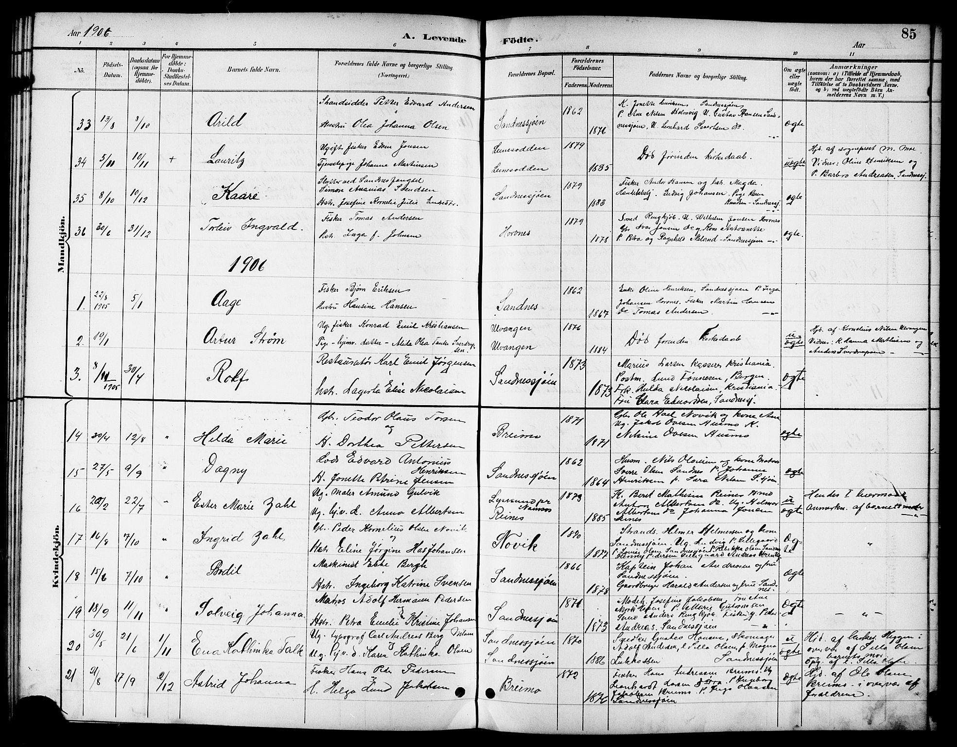 Ministerialprotokoller, klokkerbøker og fødselsregistre - Nordland, SAT/A-1459/831/L0478: Parish register (copy) no. 831C05, 1892-1909, p. 85