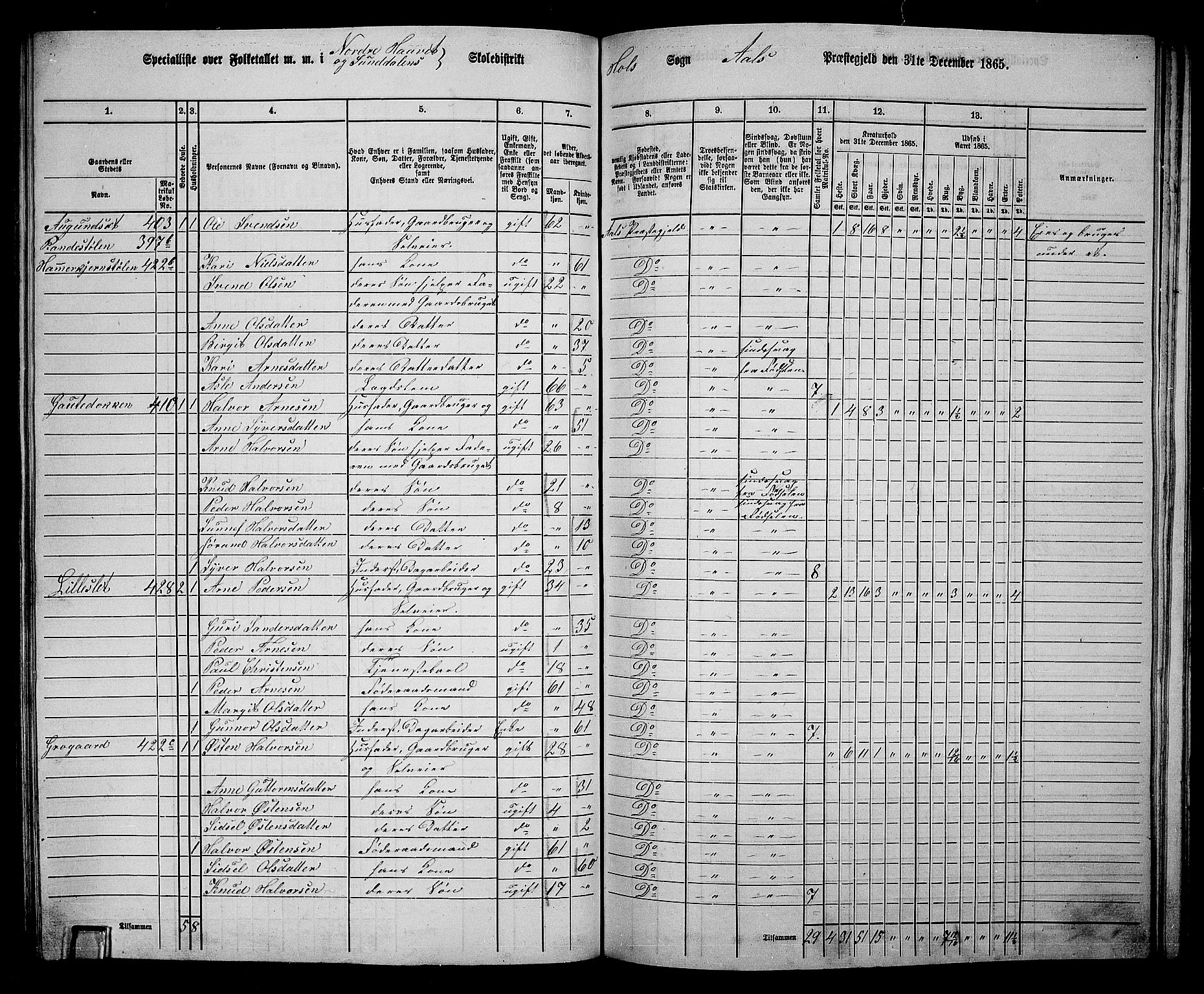 RA, 1865 census for Ål, 1865, p. 208