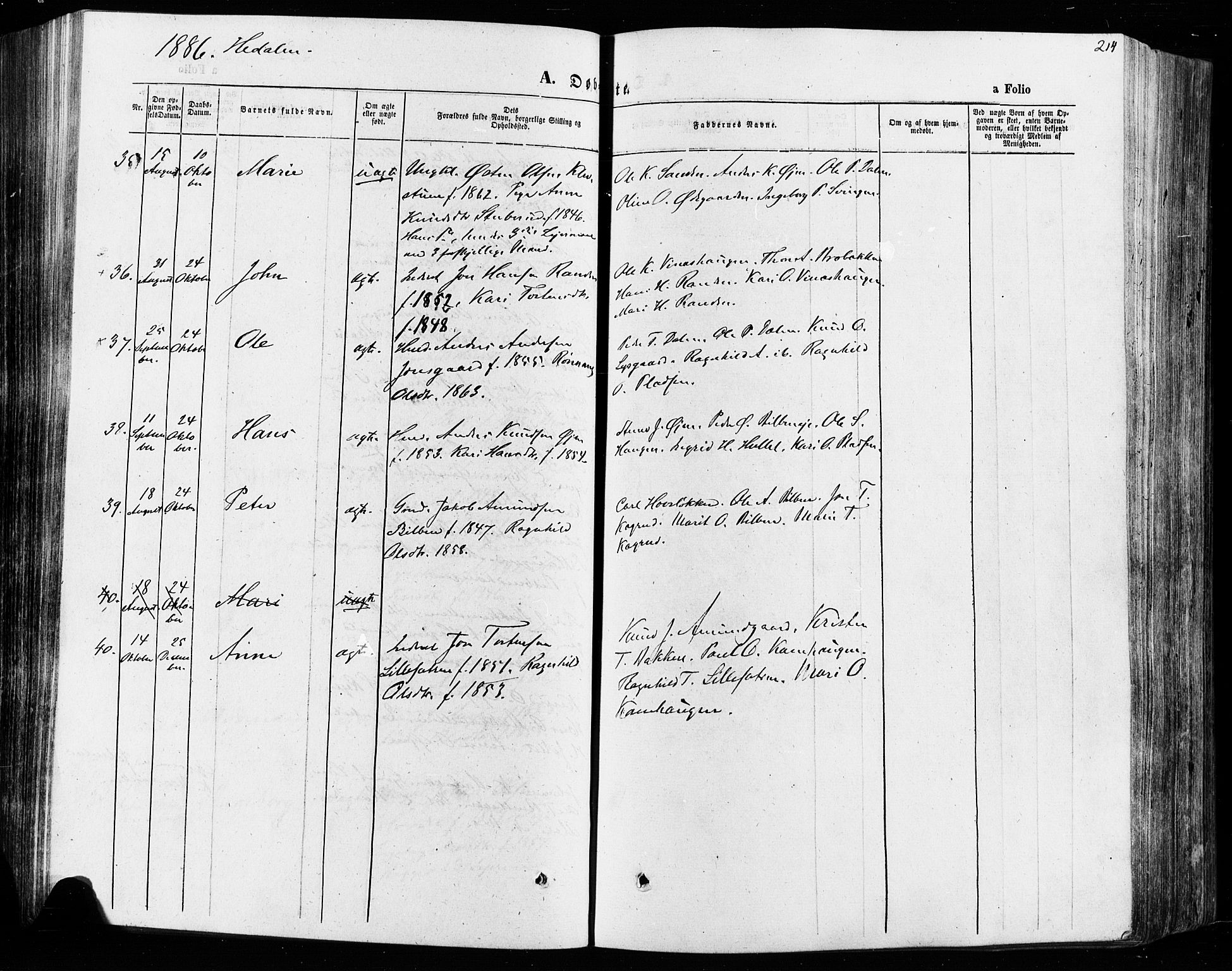 Vågå prestekontor, SAH/PREST-076/H/Ha/Haa/L0007: Parish register (official) no. 7 /2, 1873-1886, p. 214