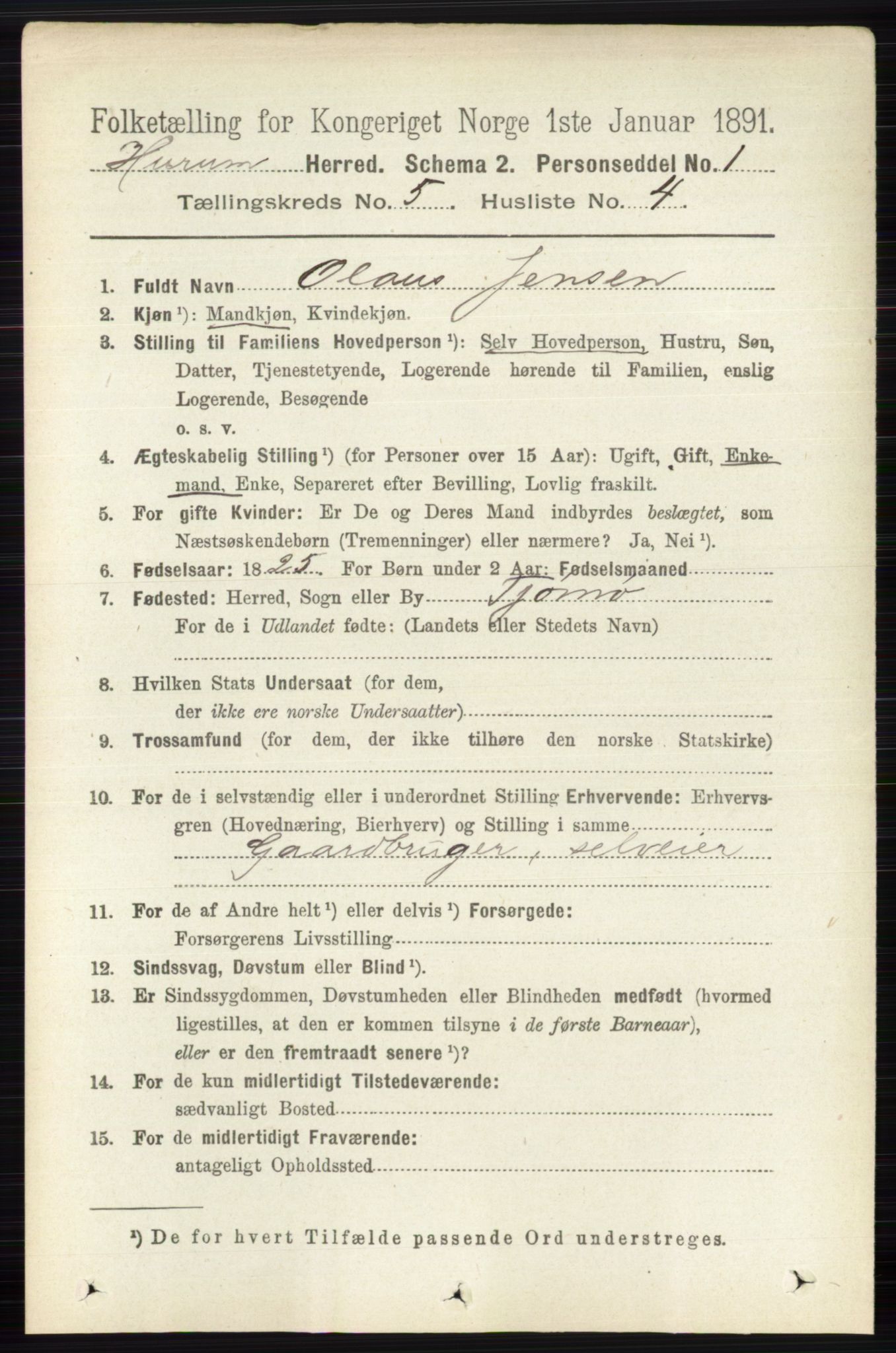 RA, 1891 census for 0628 Hurum, 1891, p. 1416