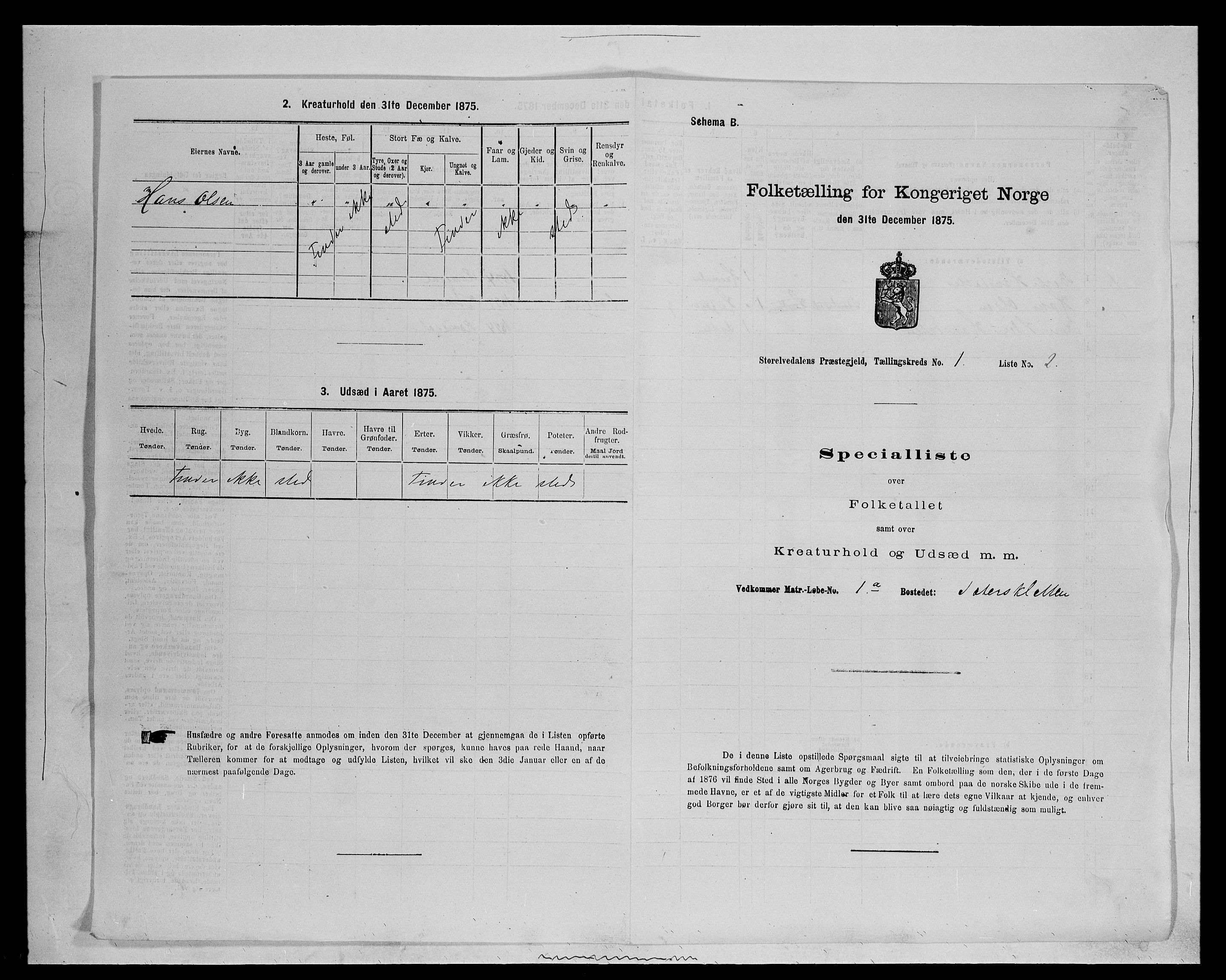 SAH, 1875 census for 0430P Stor-Elvdal, 1875, p. 55