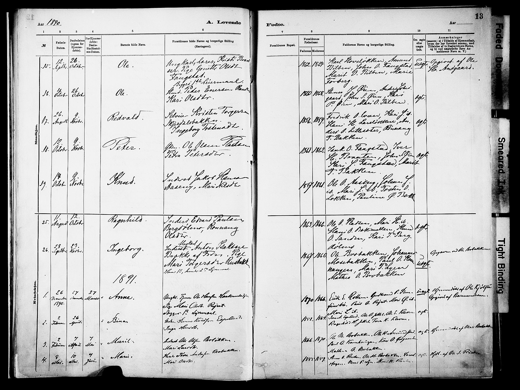 Vågå prestekontor, SAH/PREST-076/H/Ha/Haa/L0010: Parish register (official) no. 10, 1887-1904, p. 13
