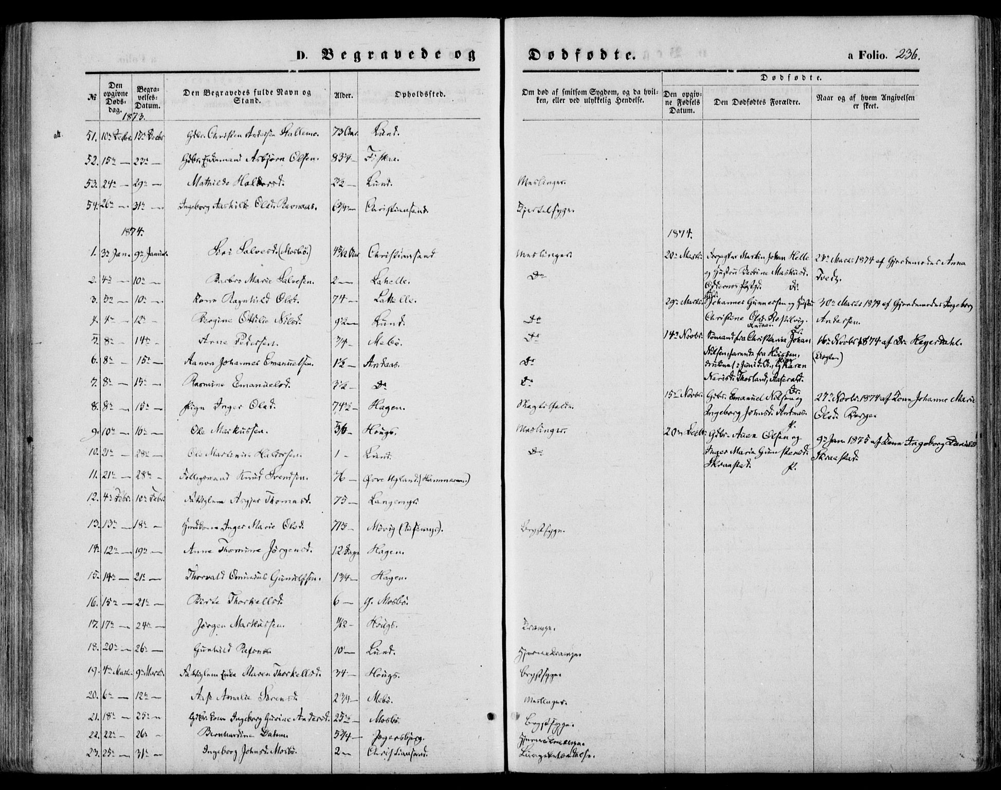 Oddernes sokneprestkontor, SAK/1111-0033/F/Fa/Faa/L0008: Parish register (official) no. A 8, 1864-1880, p. 236