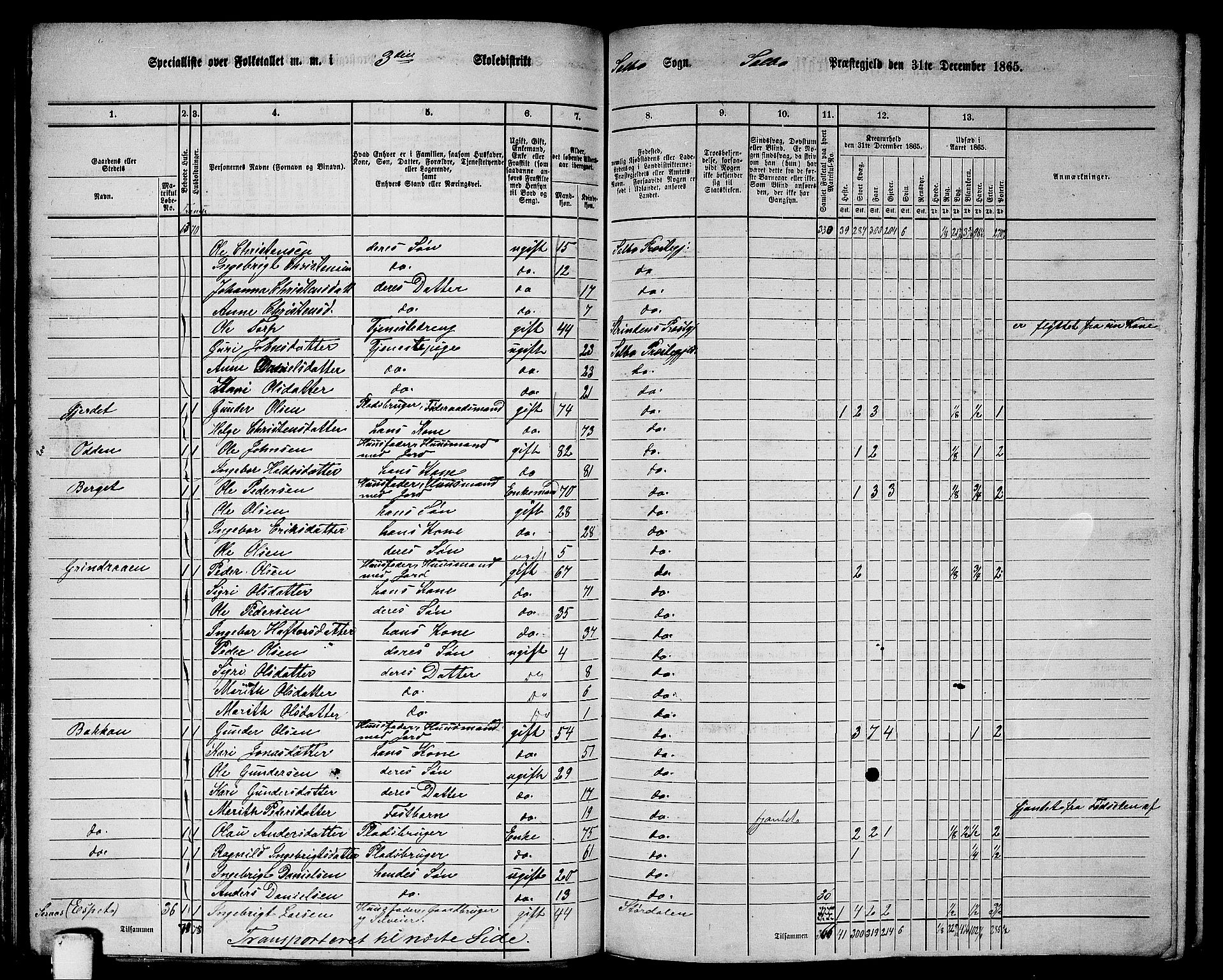 RA, 1865 census for Selbu, 1865, p. 46