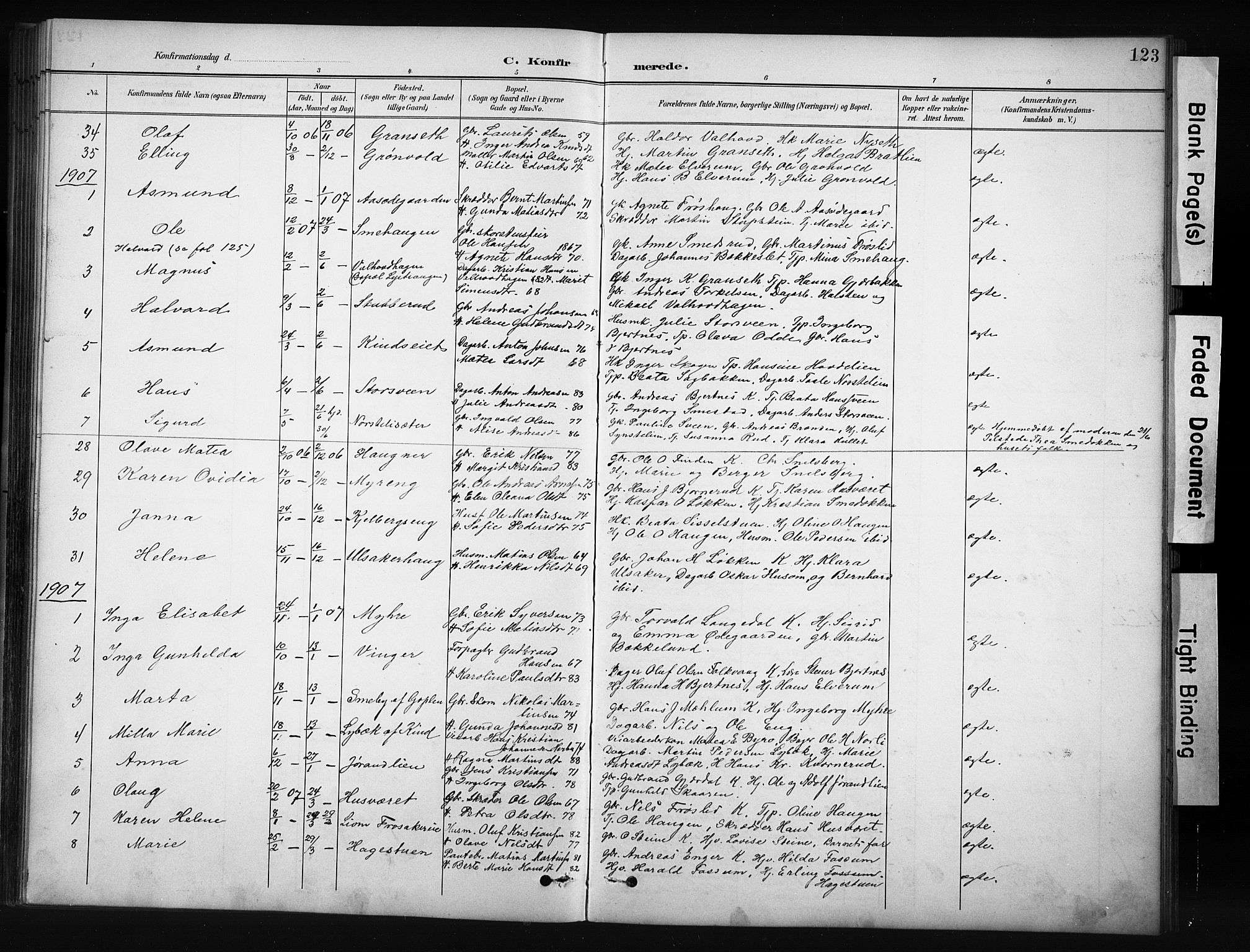 Nordre Land prestekontor, SAH/PREST-124/H/Ha/Hab/L0012: Parish register (copy) no. 12, 1891-1909, p. 123