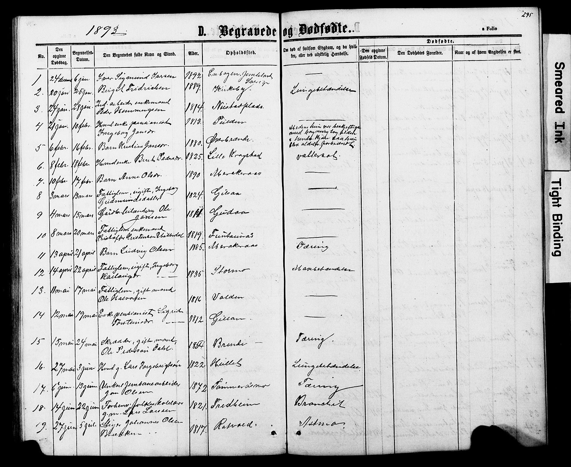 Ministerialprotokoller, klokkerbøker og fødselsregistre - Nord-Trøndelag, SAT/A-1458/706/L0049: Parish register (copy) no. 706C01, 1864-1895, p. 235