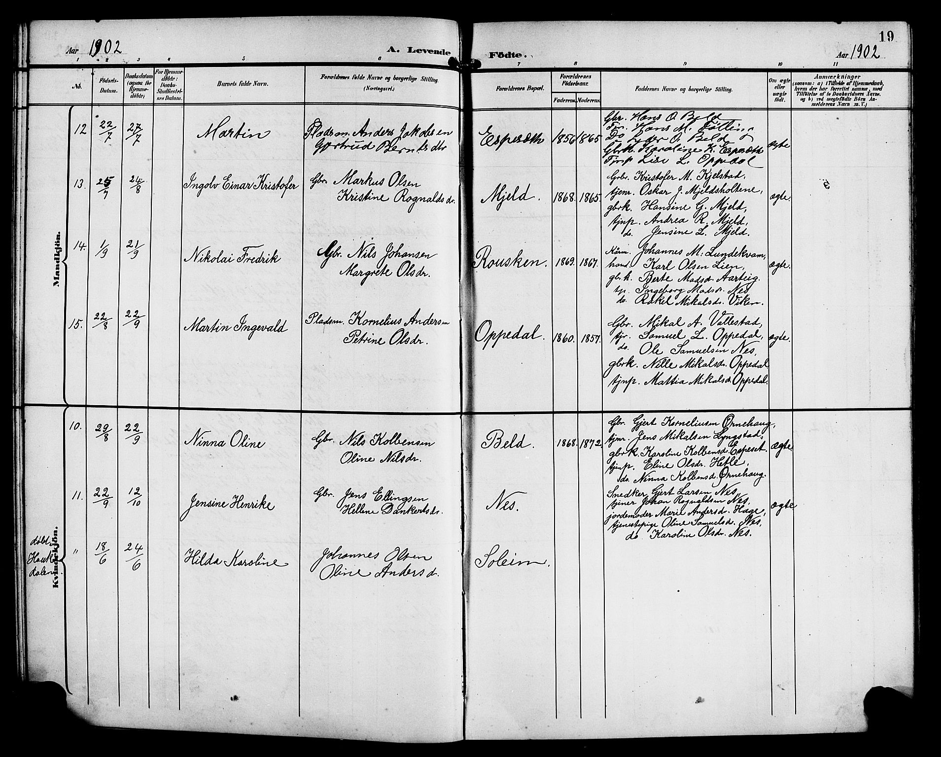 Gaular sokneprestembete, SAB/A-80001/H/Hab: Parish register (copy) no. C 4, 1895-1920, p. 19