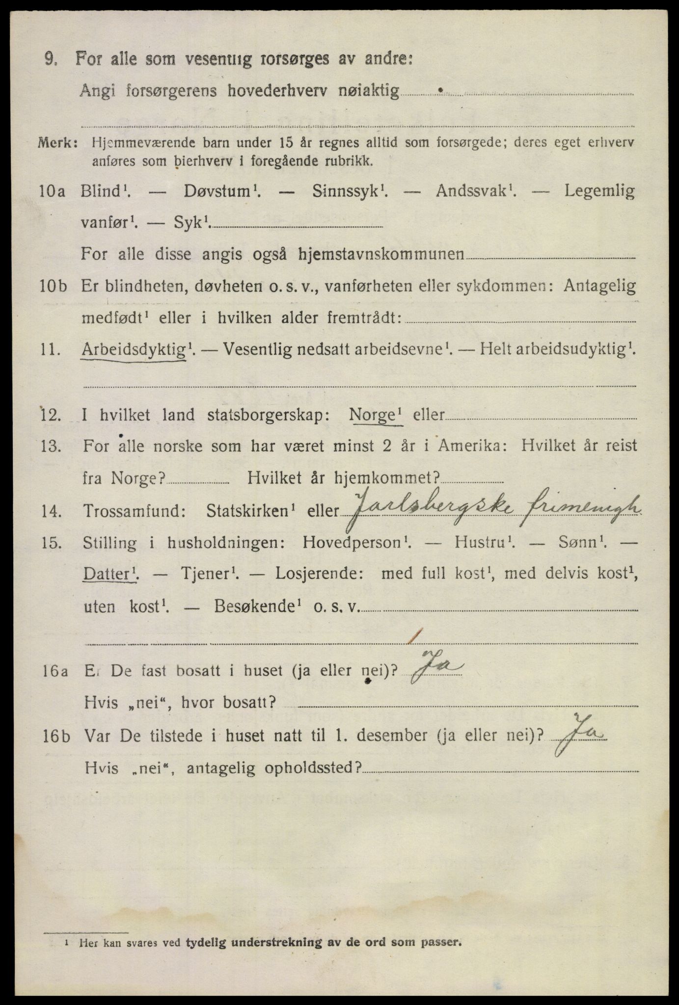 SAKO, 1920 census for Våle, 1920, p. 6339