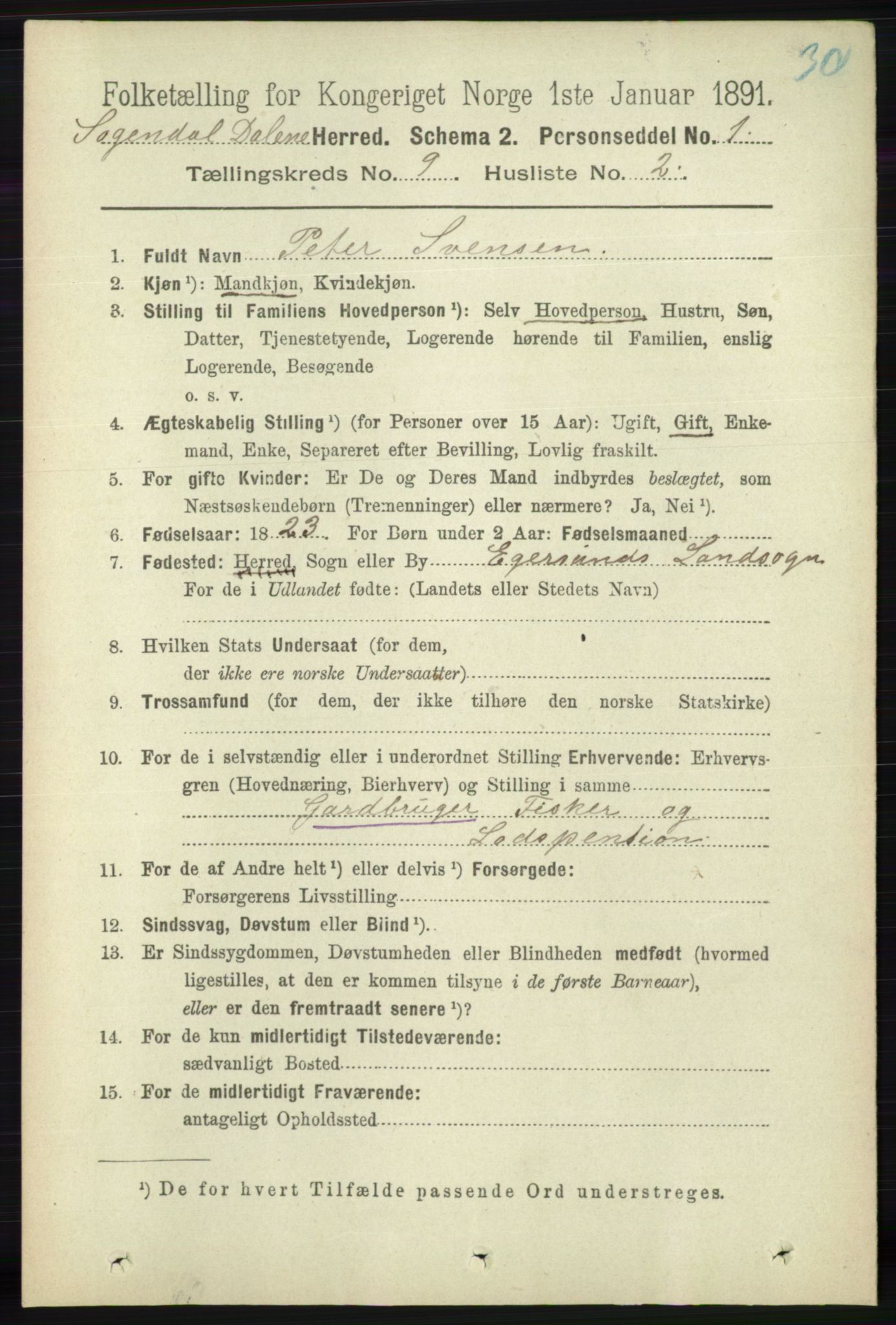 RA, 1891 census for 1111 Sokndal, 1891, p. 3163