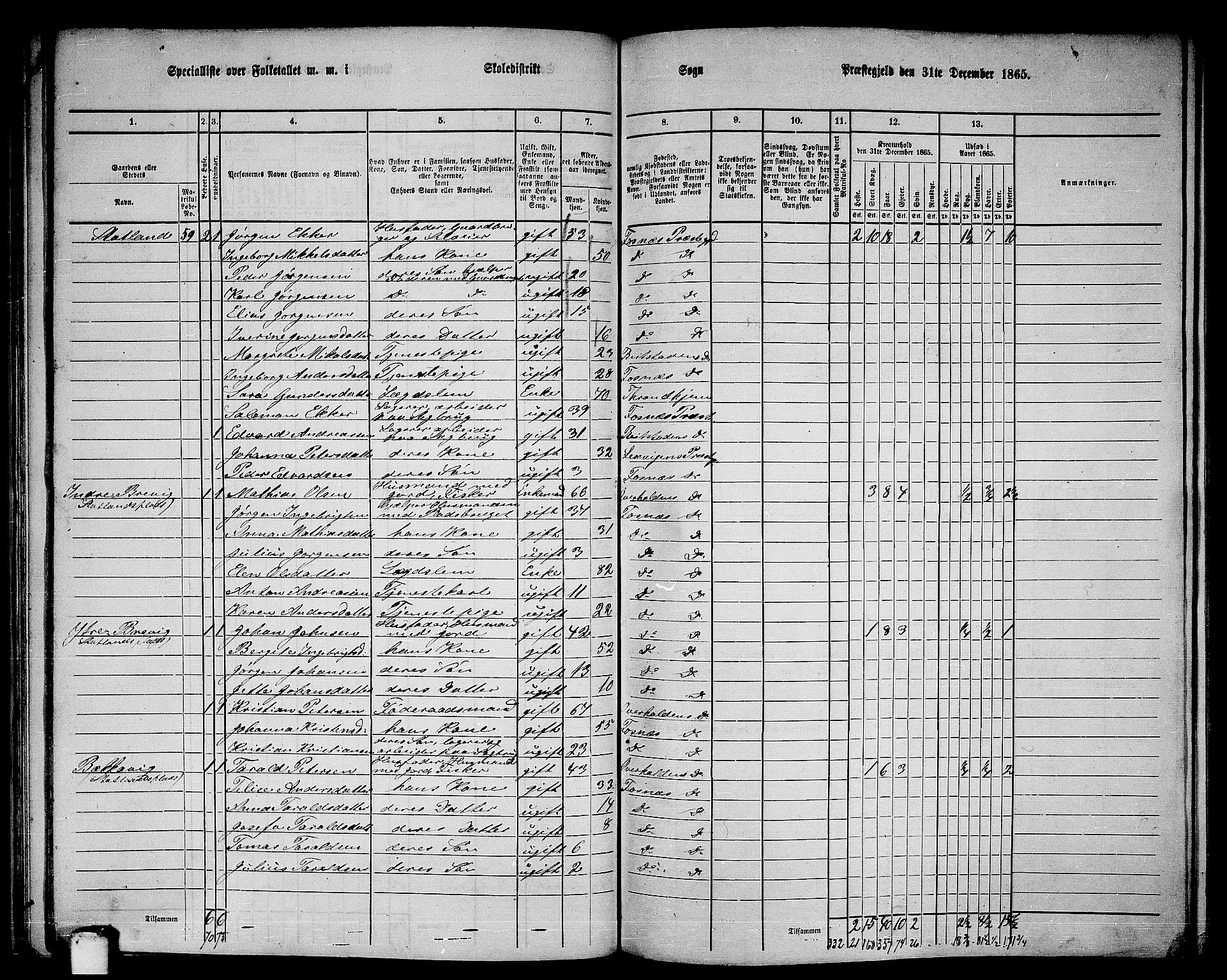 RA, 1865 census for Fosnes, 1865, p. 51