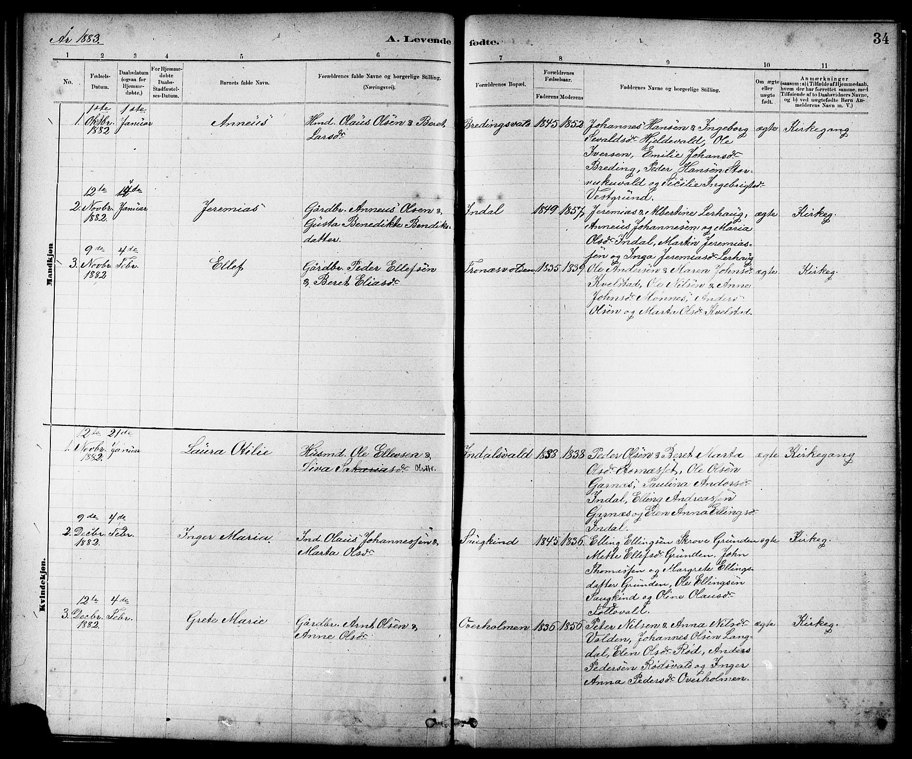 Ministerialprotokoller, klokkerbøker og fødselsregistre - Nord-Trøndelag, SAT/A-1458/724/L0267: Parish register (copy) no. 724C03, 1879-1898, p. 34