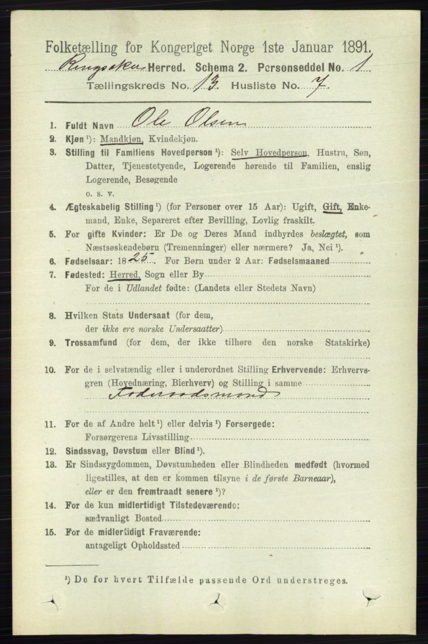 RA, 1891 census for 0412 Ringsaker, 1891, p. 7245