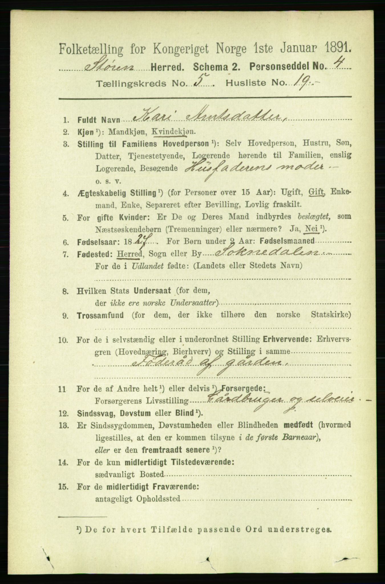 RA, 1891 census for 1648 Støren, 1891, p. 2045