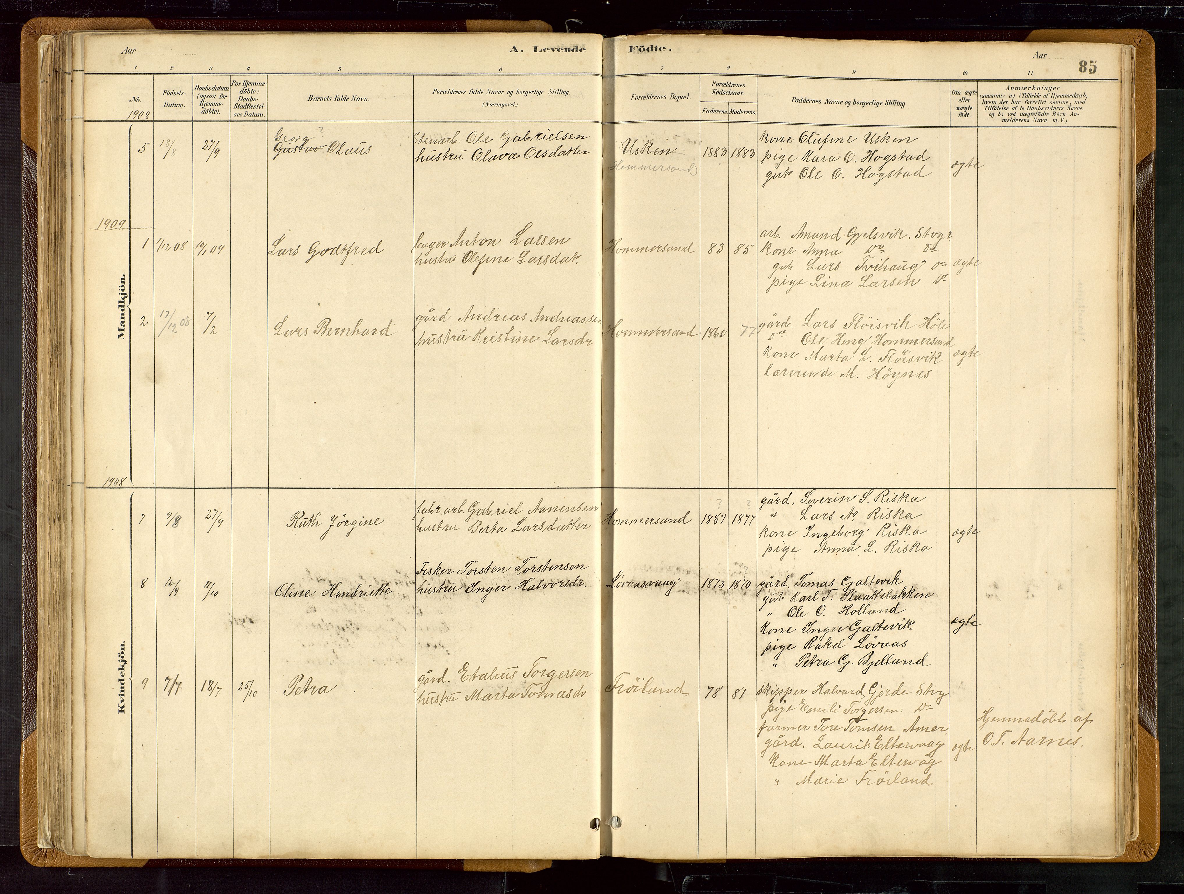 Hetland sokneprestkontor, SAST/A-101826/30/30BB/L0007: Parish register (copy) no. B 7, 1878-1910, p. 85