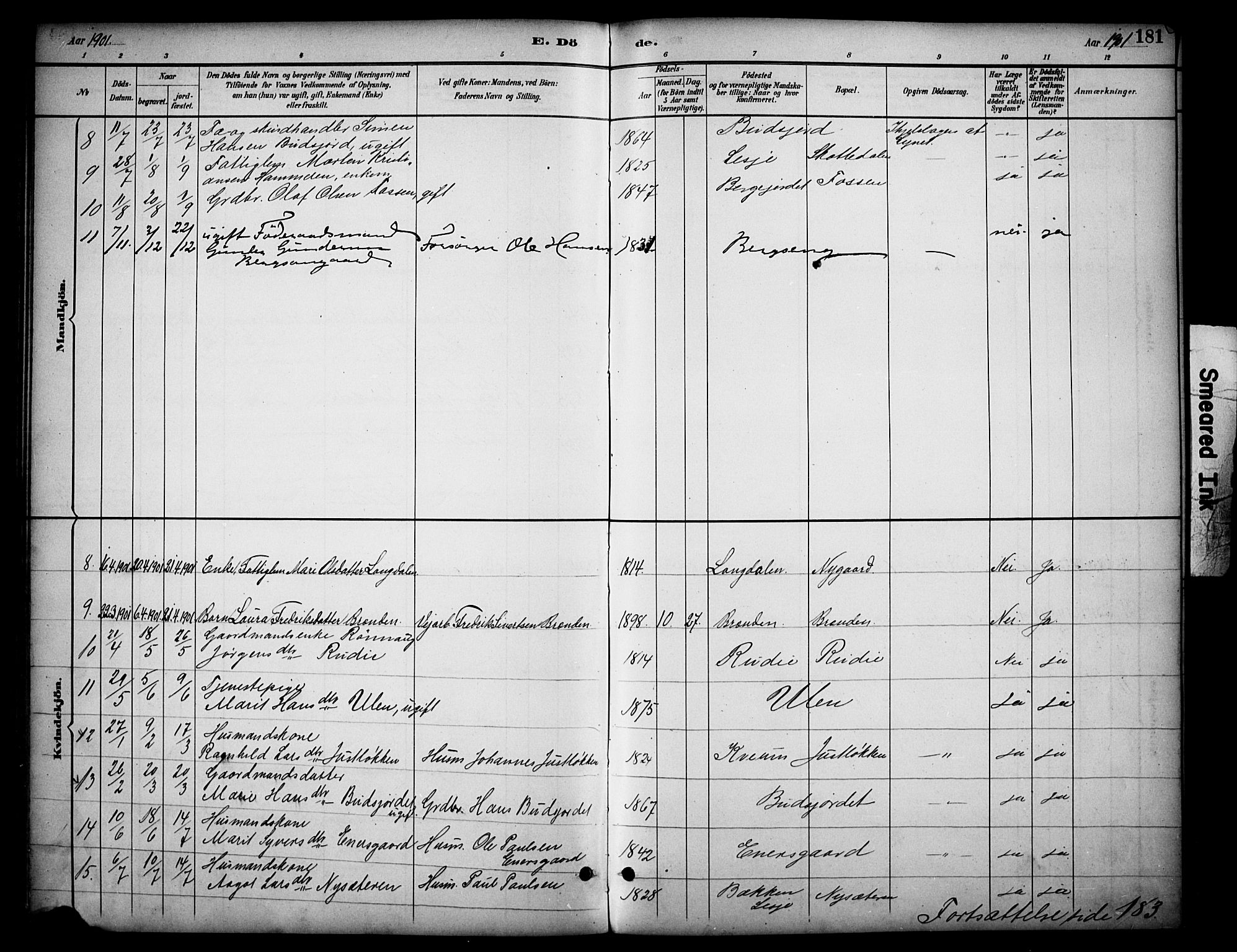 Dovre prestekontor, SAH/PREST-066/H/Ha/Haa/L0003: Parish register (official) no. 3, 1891-1901, p. 181