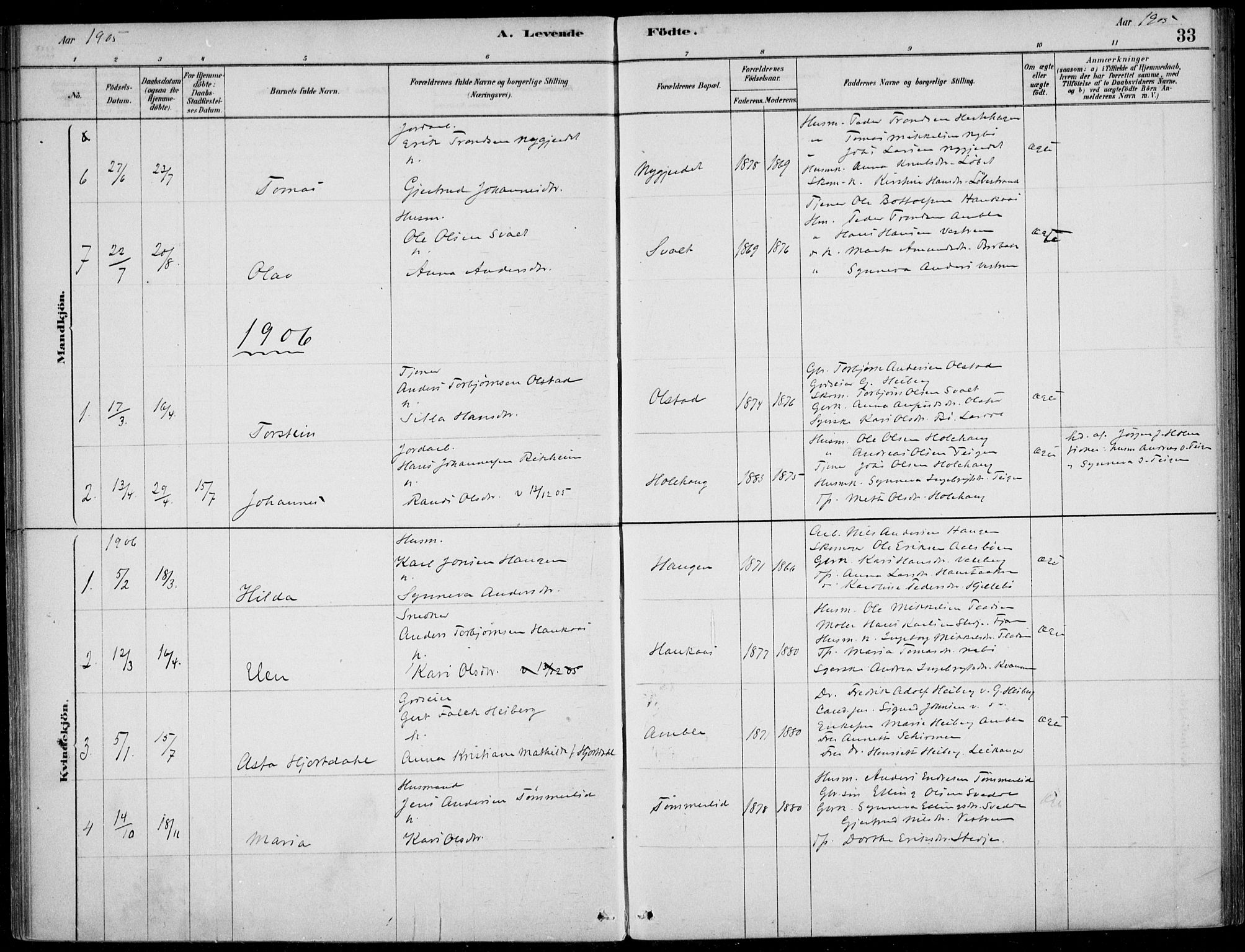 Sogndal sokneprestembete, AV/SAB-A-81301/H/Haa/Haad/L0001: Parish register (official) no. D  1, 1878-1907, p. 33