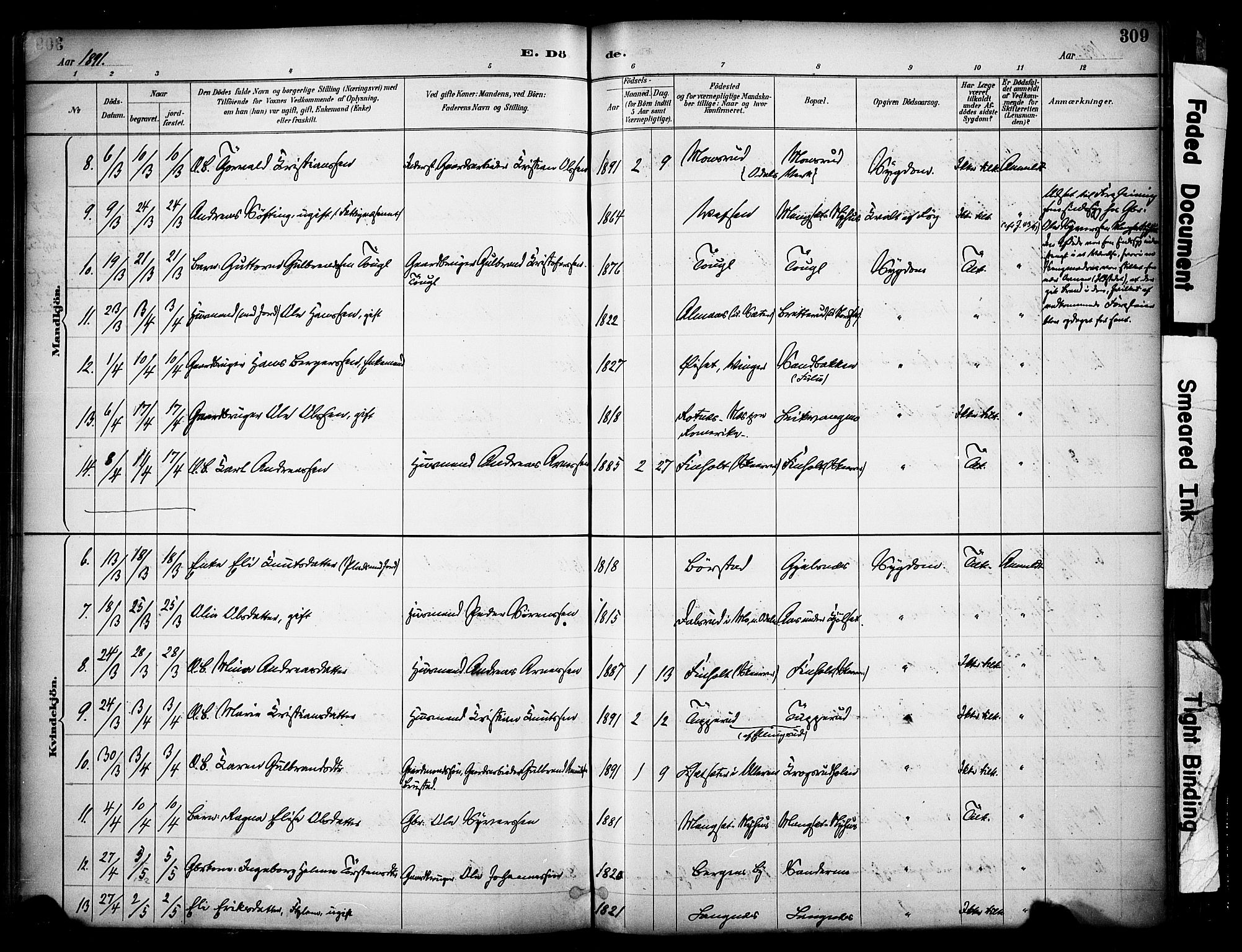 Sør-Odal prestekontor, SAH/PREST-030/H/Ha/Haa/L0007: Parish register (official) no. 7, 1886-1925, p. 309