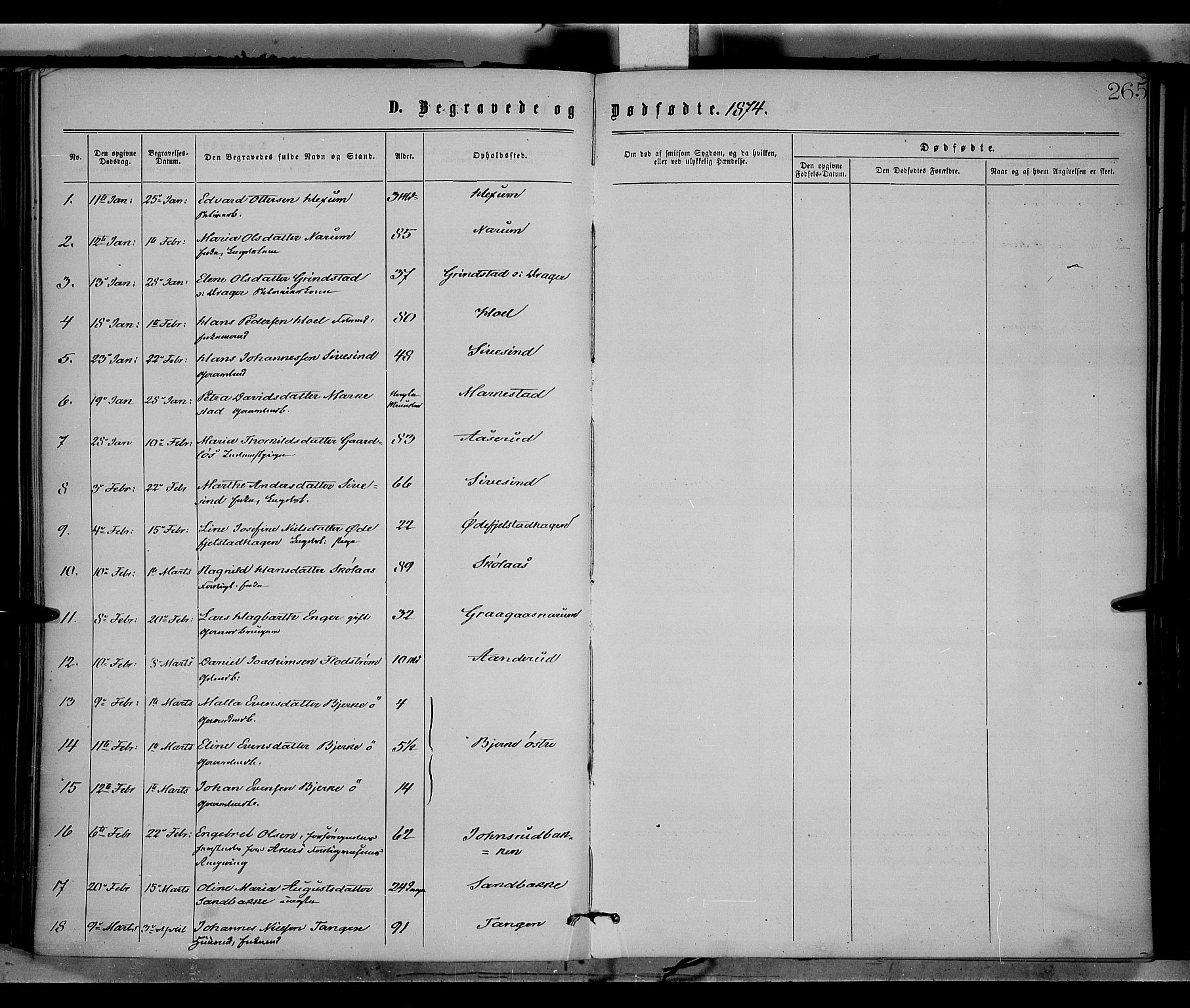 Vestre Toten prestekontor, SAH/PREST-108/H/Ha/Haa/L0008: Parish register (official) no. 8, 1870-1877, p. 265