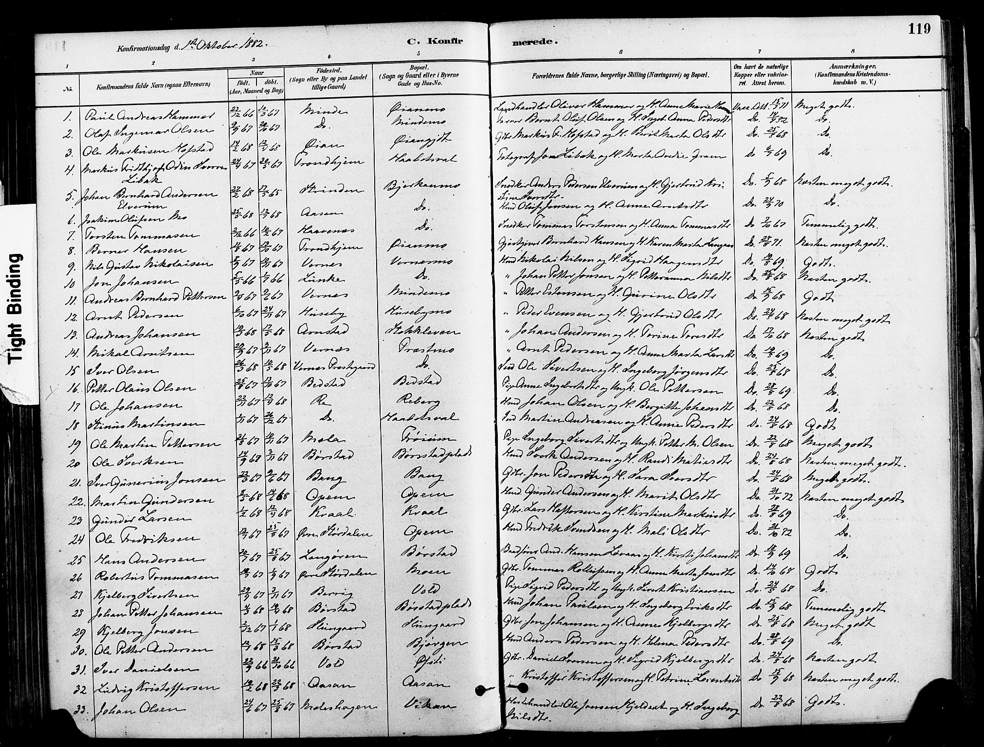 Ministerialprotokoller, klokkerbøker og fødselsregistre - Nord-Trøndelag, SAT/A-1458/709/L0077: Parish register (official) no. 709A17, 1880-1895, p. 119