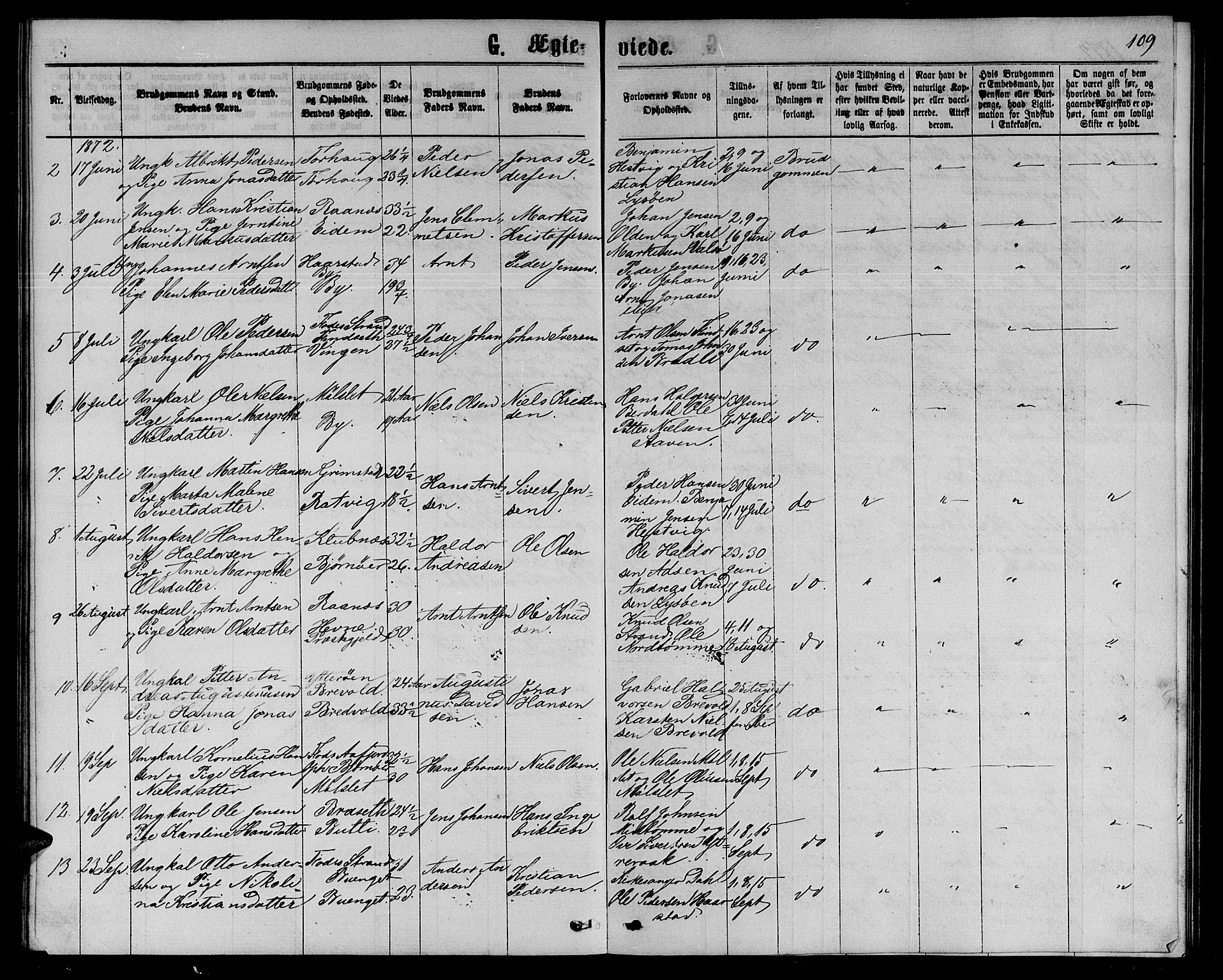 Ministerialprotokoller, klokkerbøker og fødselsregistre - Sør-Trøndelag, AV/SAT-A-1456/655/L0686: Parish register (copy) no. 655C02, 1866-1879, p. 109